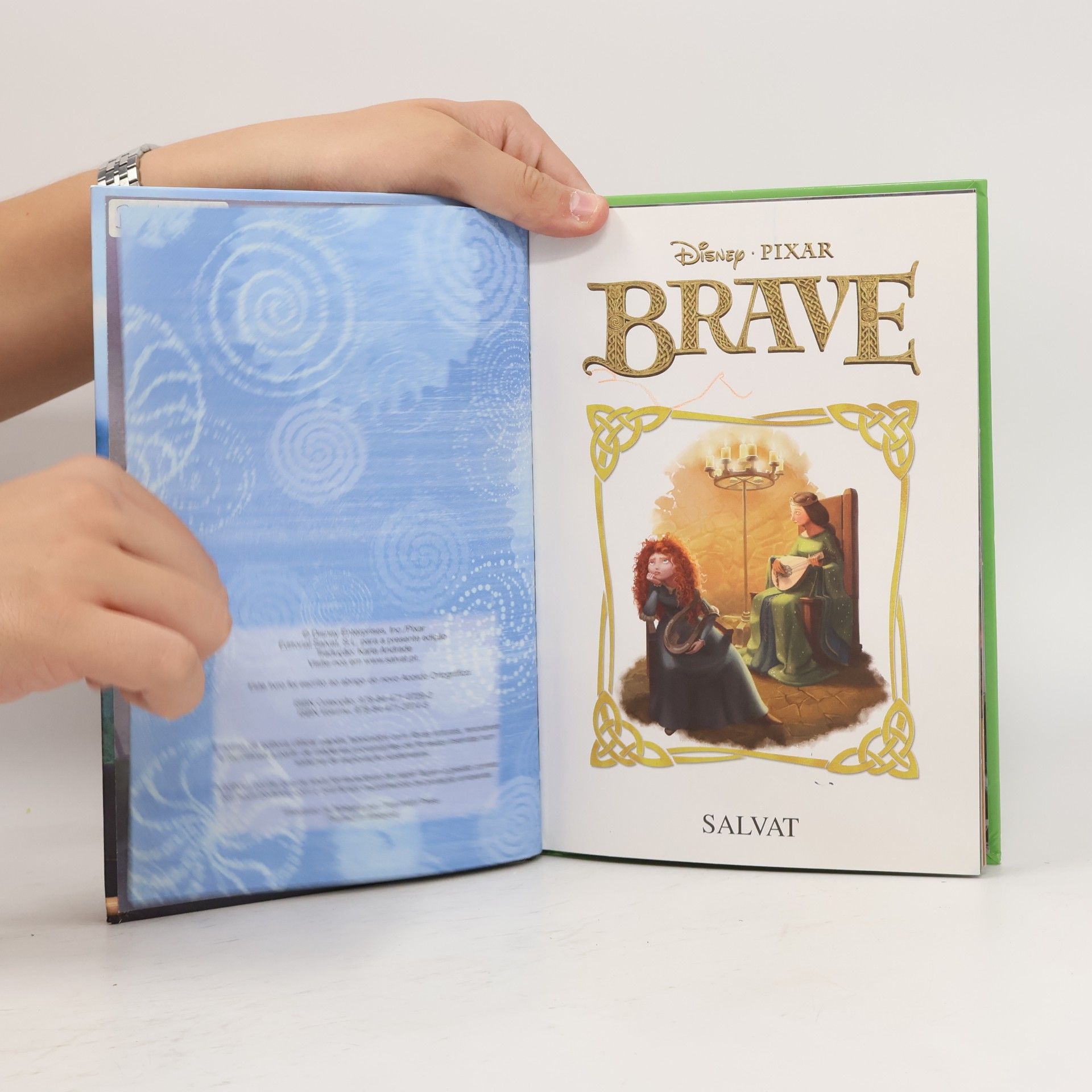 Disney Pixar Brave