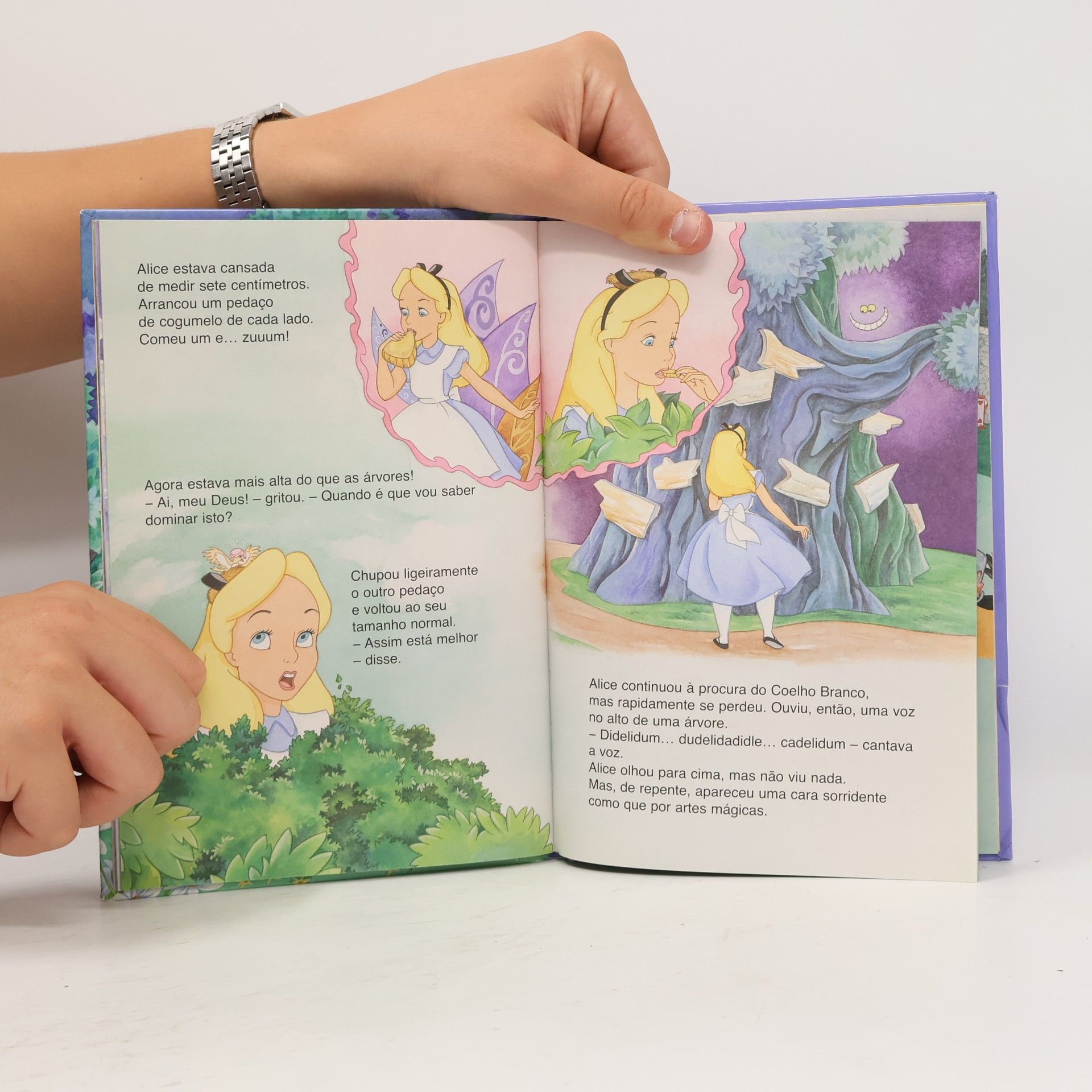 Autorenkollektiv Alice no País das Maravilhas