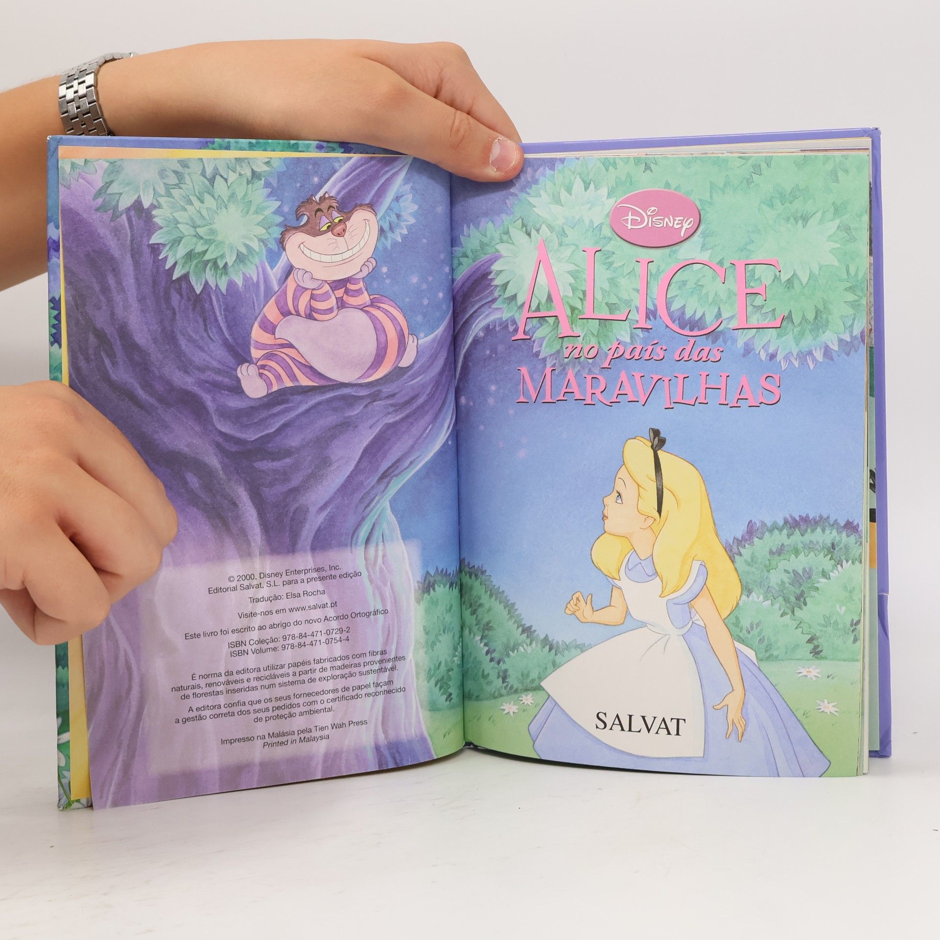 Autorenkollektiv Alice no País das Maravilhas