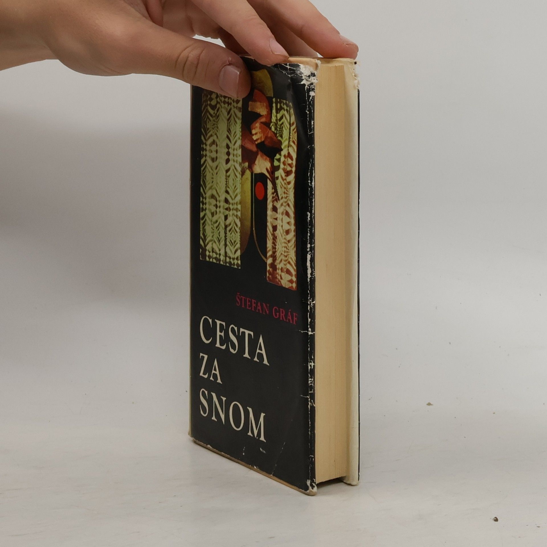 Stefan Graf Cesta za snom
