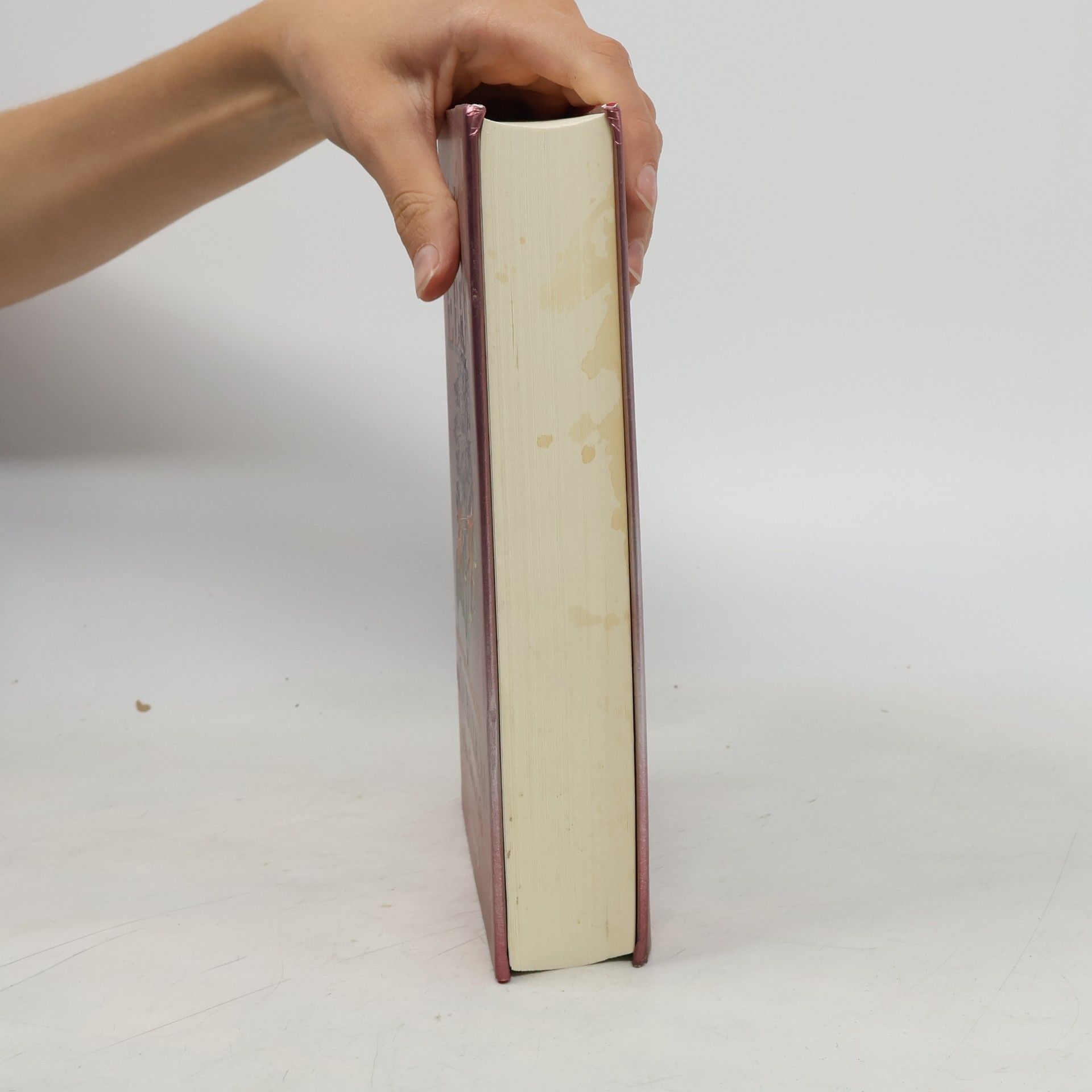 Sabine Ebert Der Silberbaum. Das Ende der Welt