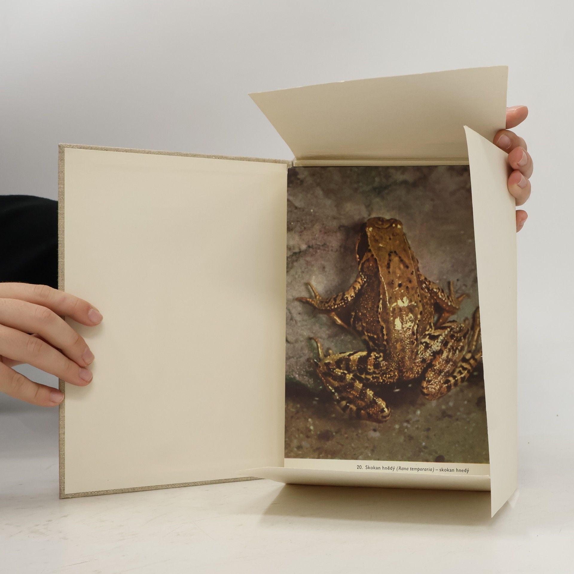 Otakar Štěpánek Atlas obratlovců 2