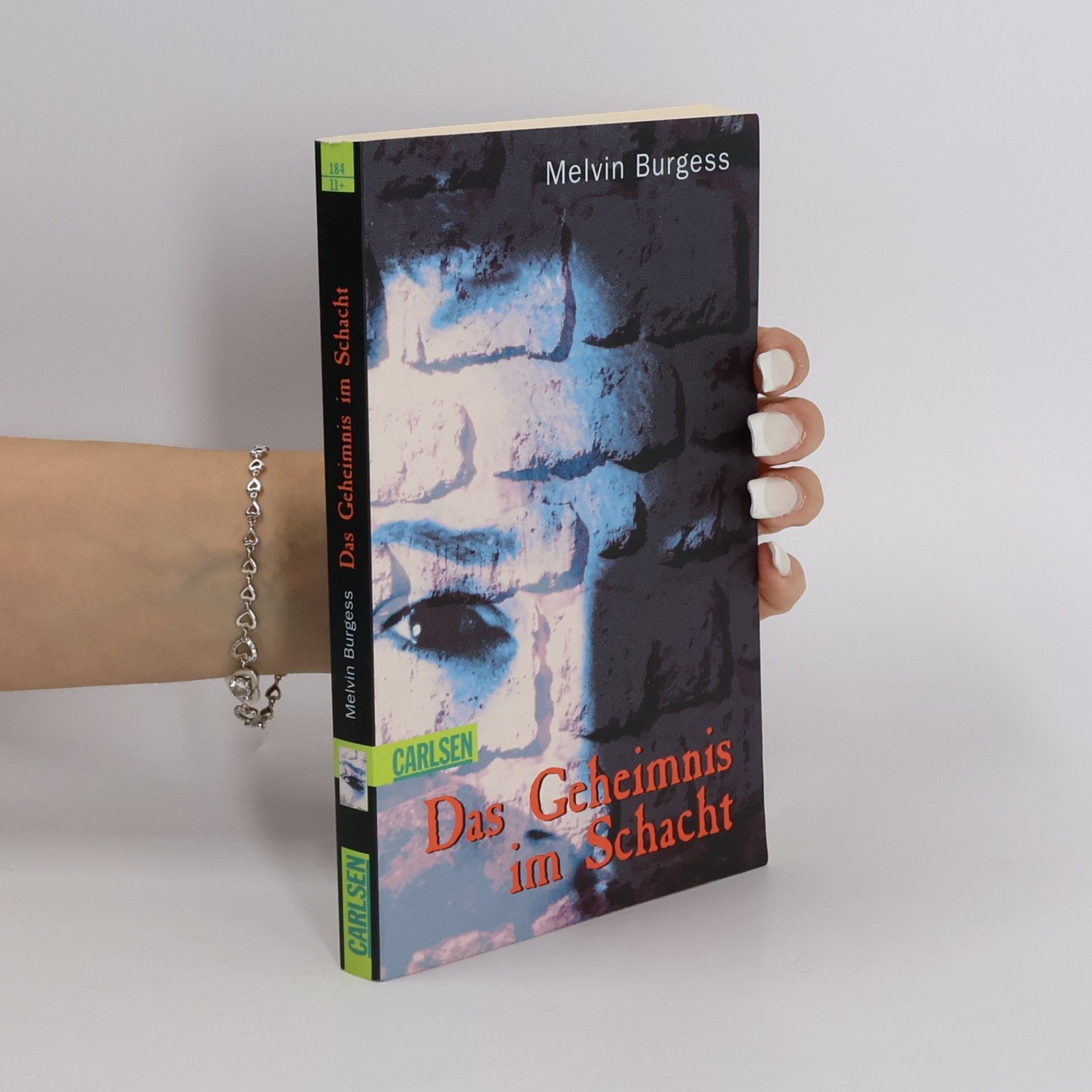 Melvin Burgess Das Geheimnis im Schacht