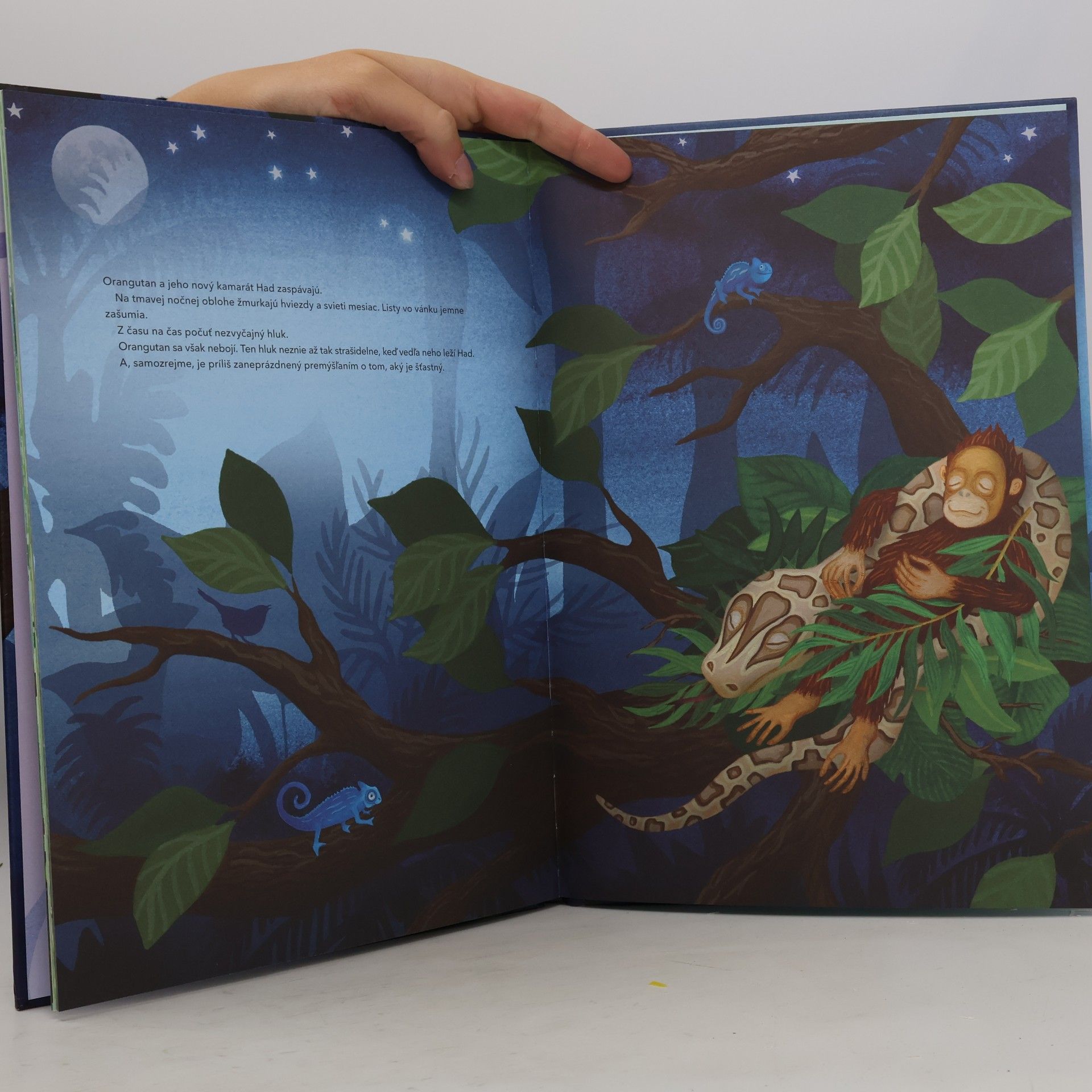Sophie Holmqvist Bojazlivý orangutan