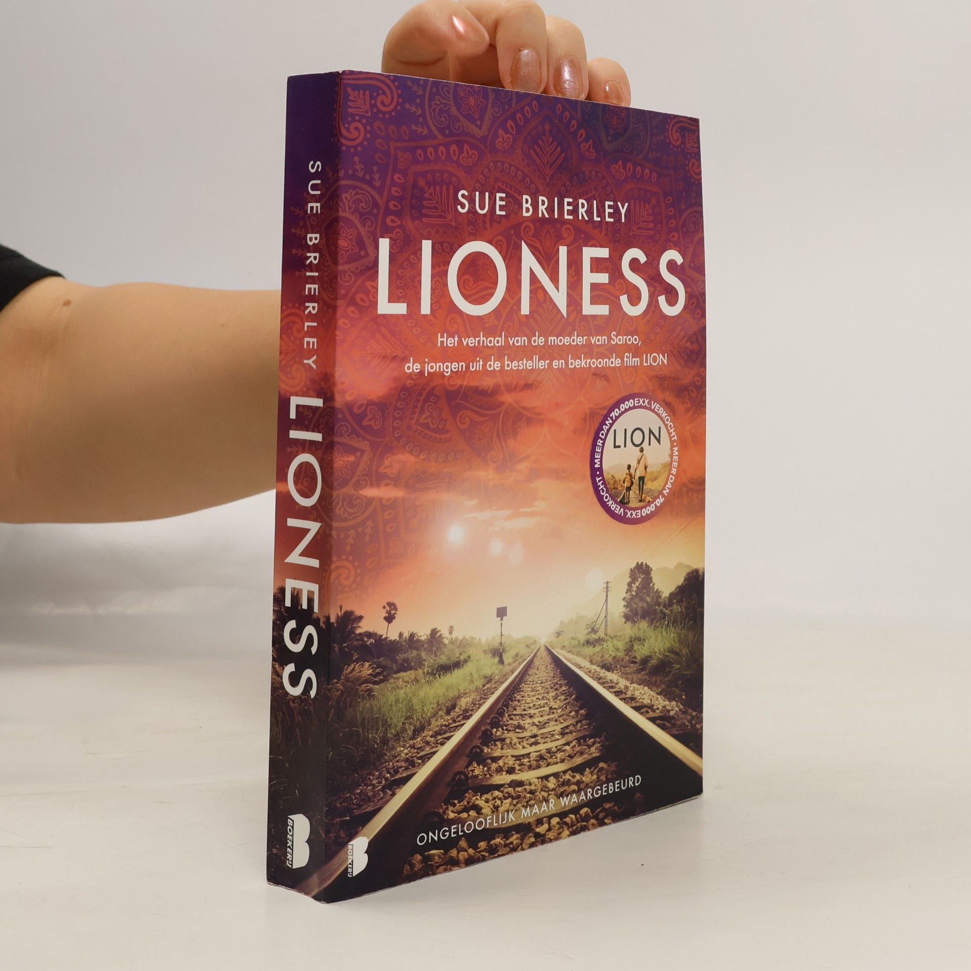 Sue Brierley Lioness