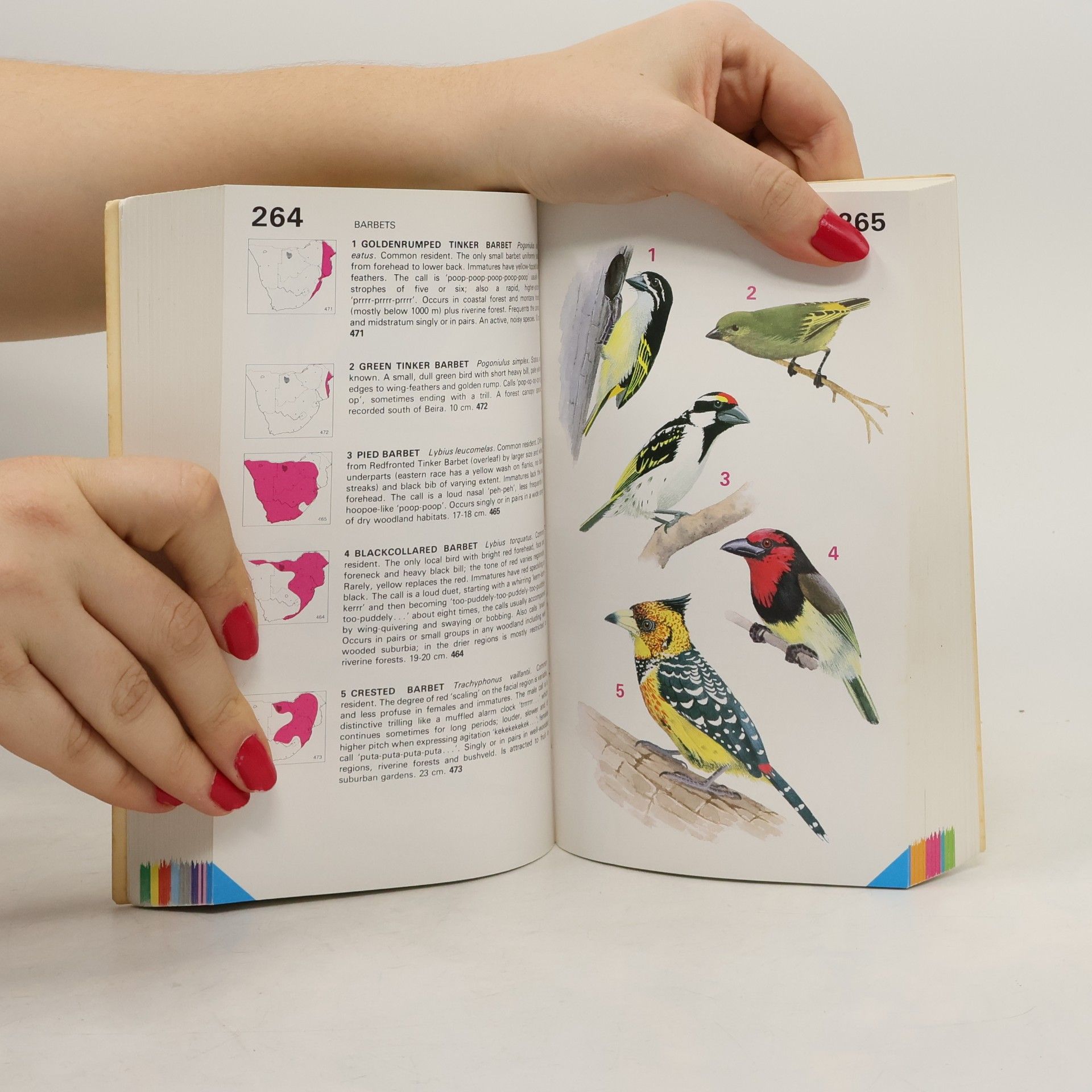 Kenneth Newman Newman's Birds of Southern Africa: Expanded Edition
