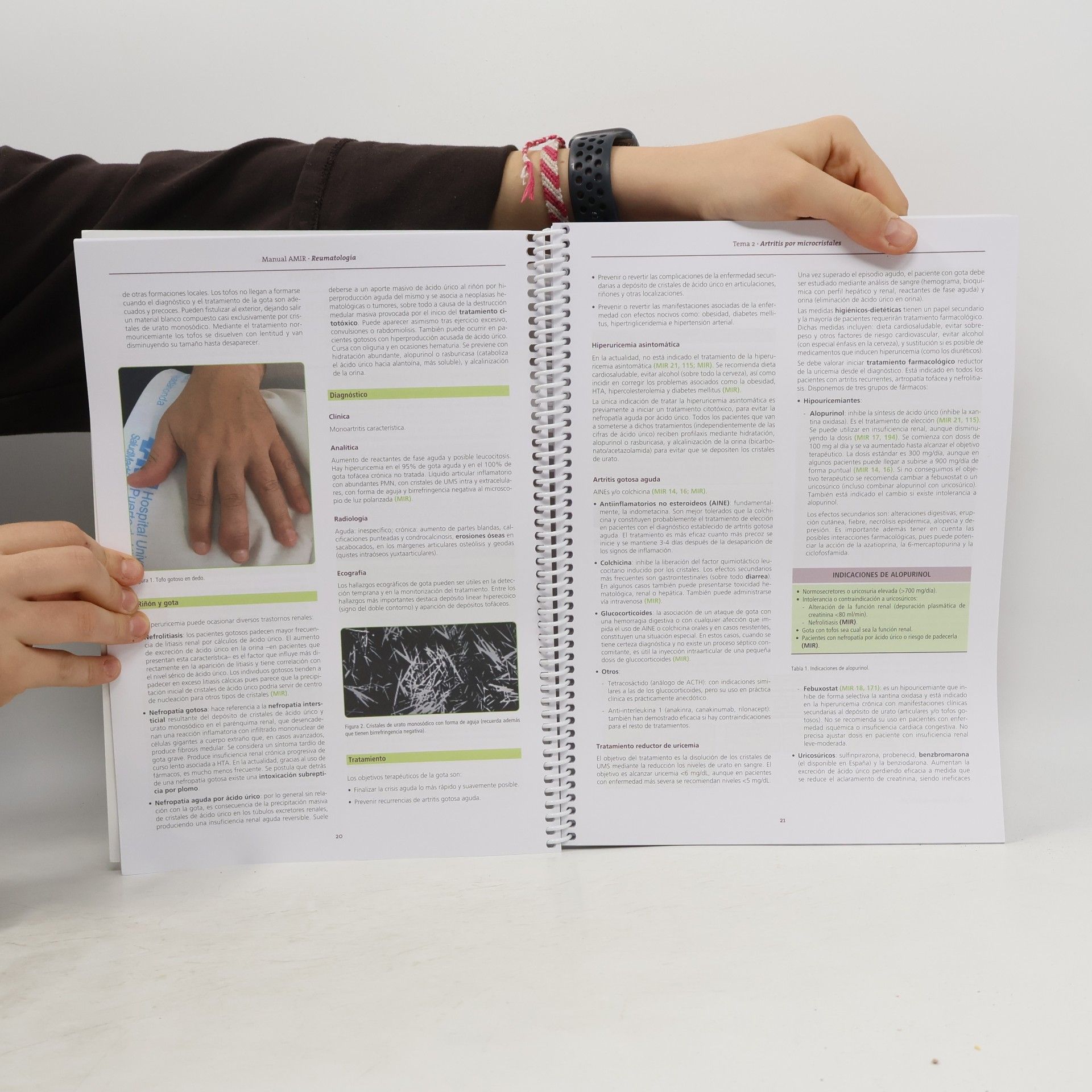 AMIR - 10: Manual de Reumatología