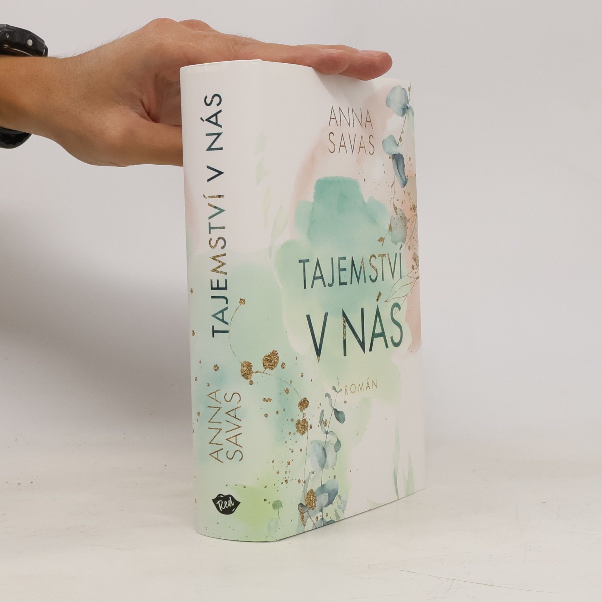 Anna Savas Tajemství v nás