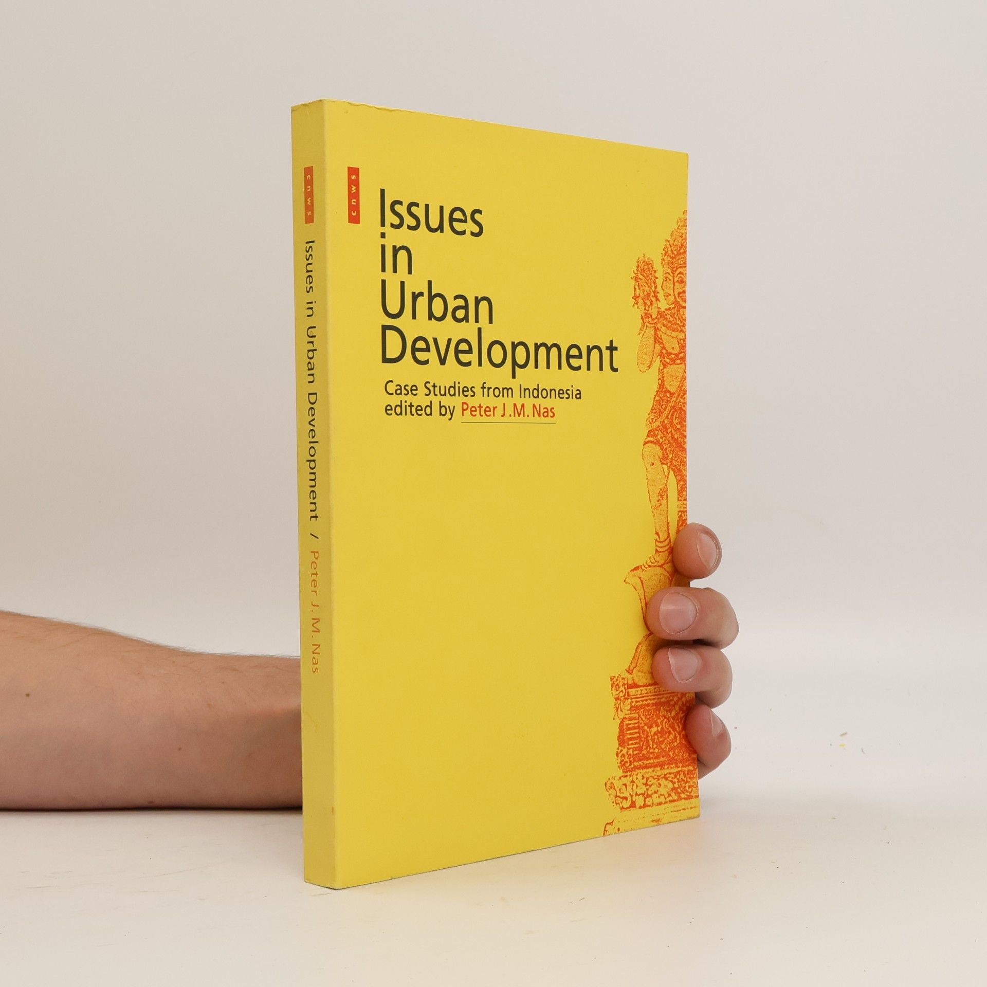 Collectif d'auteurs Issues in urban development