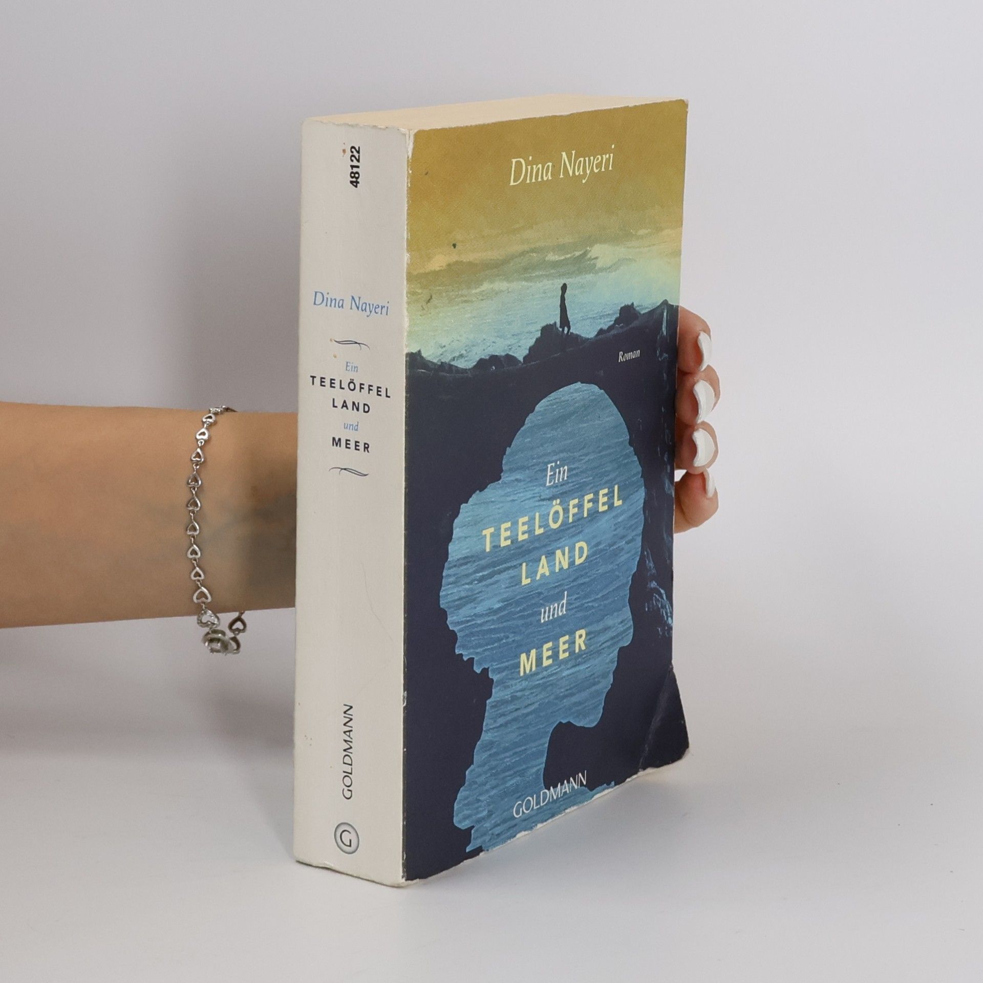 Dina Nayeri Ein Teelöffel Land und Meer