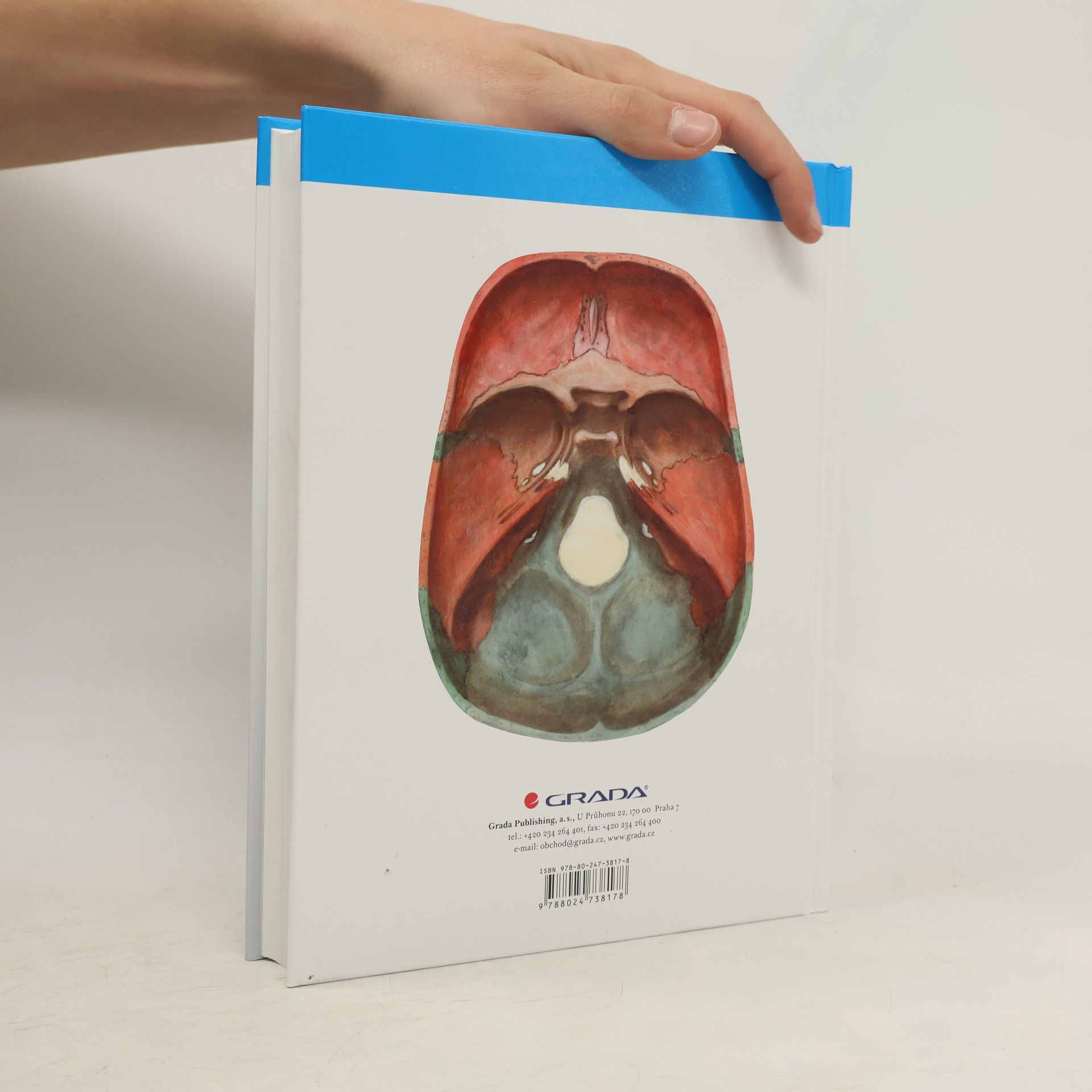 Oldřich Fejfar Anatomie 1