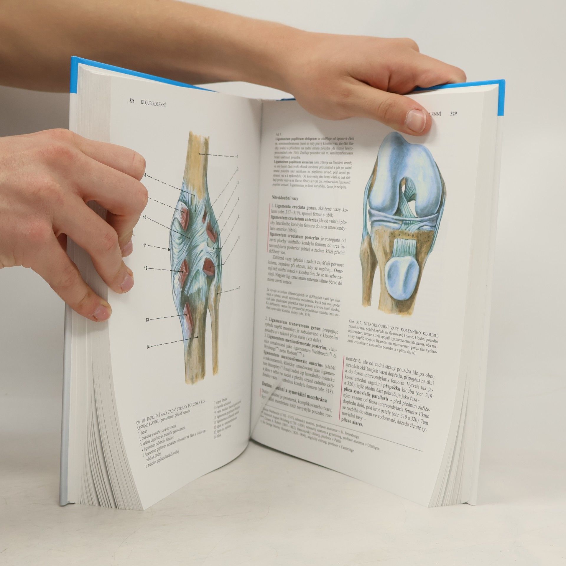 Oldřich Fejfar Anatomie 1