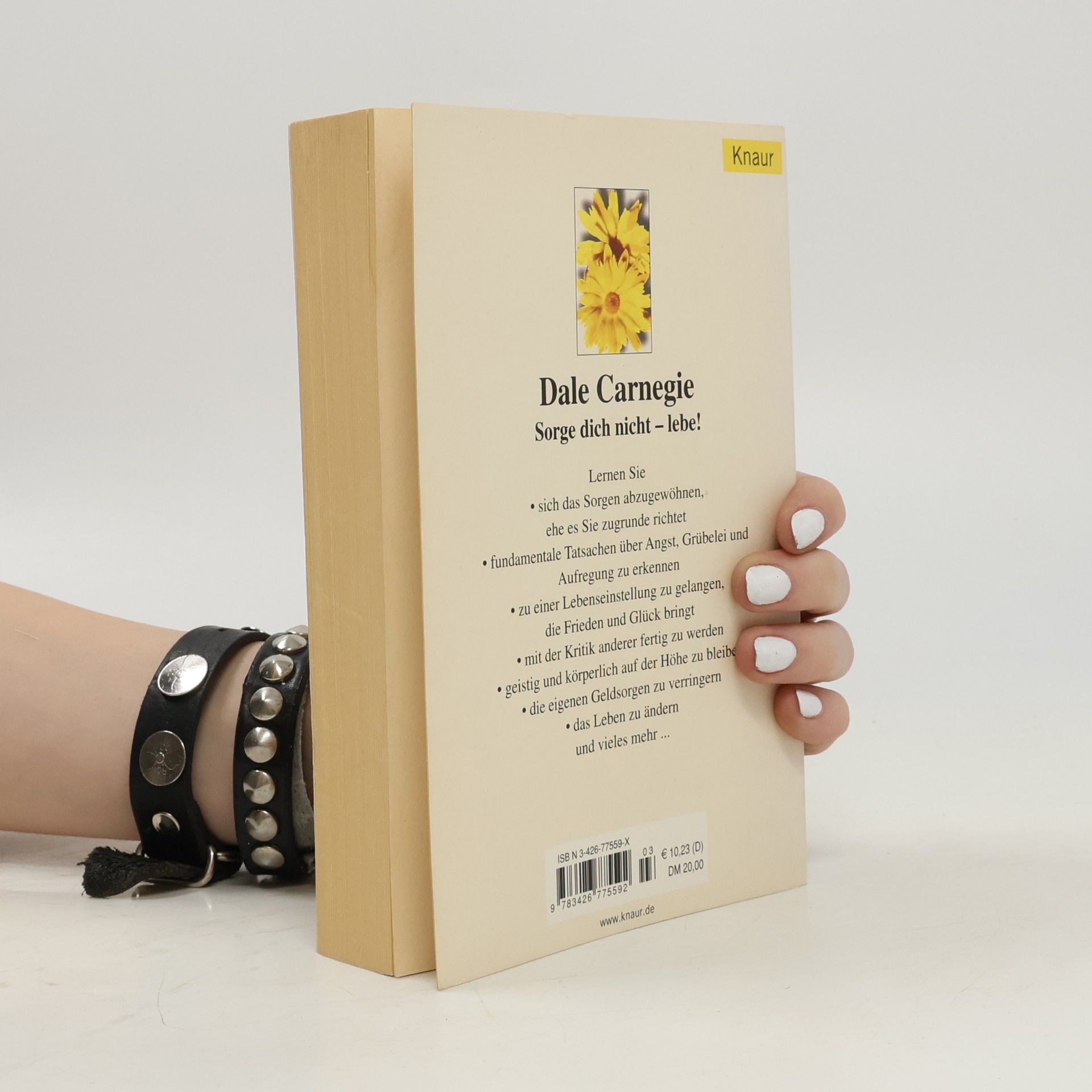 Dale Carnegie Sorge dich nicht - lebe!