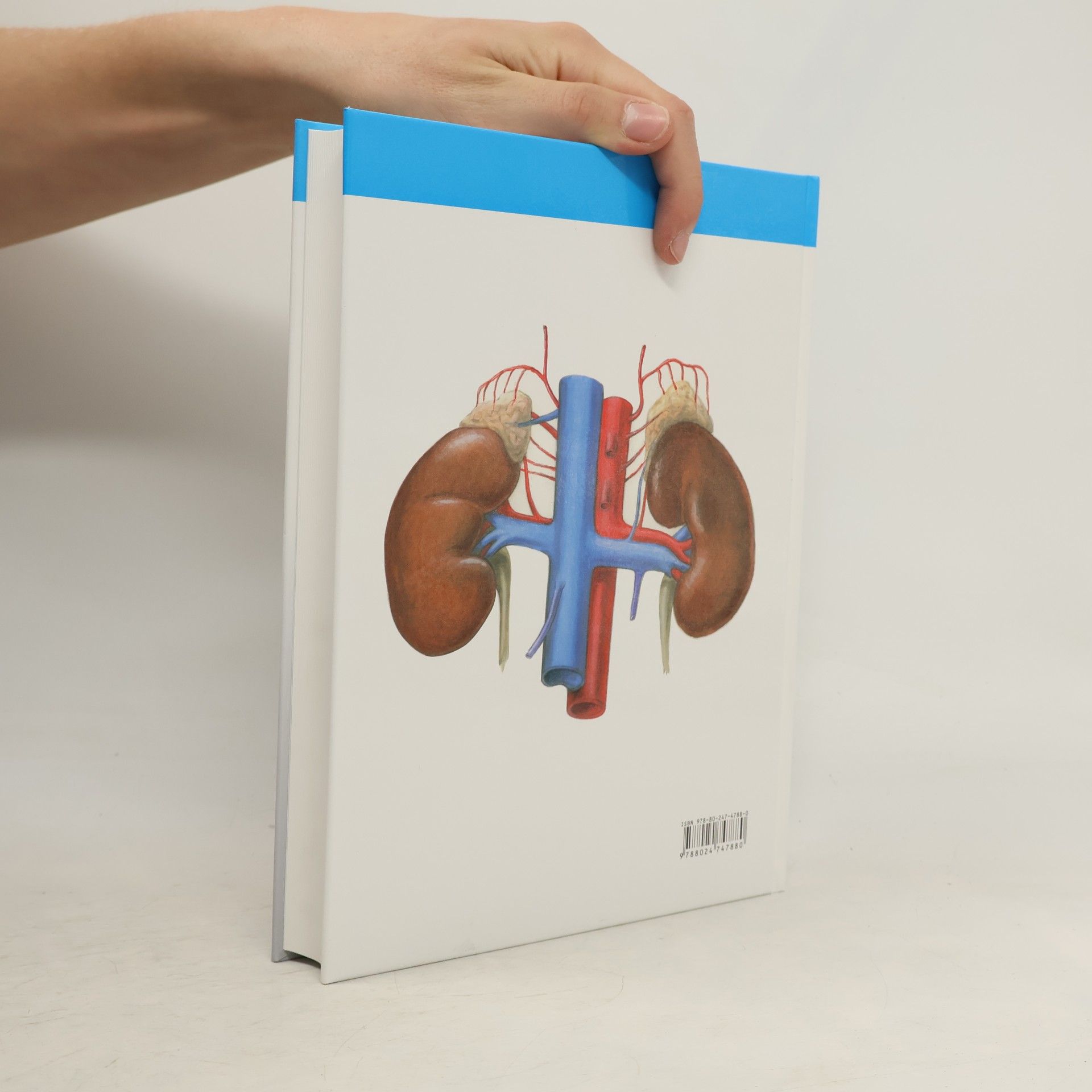 Radomír Čihák Anatomie 2