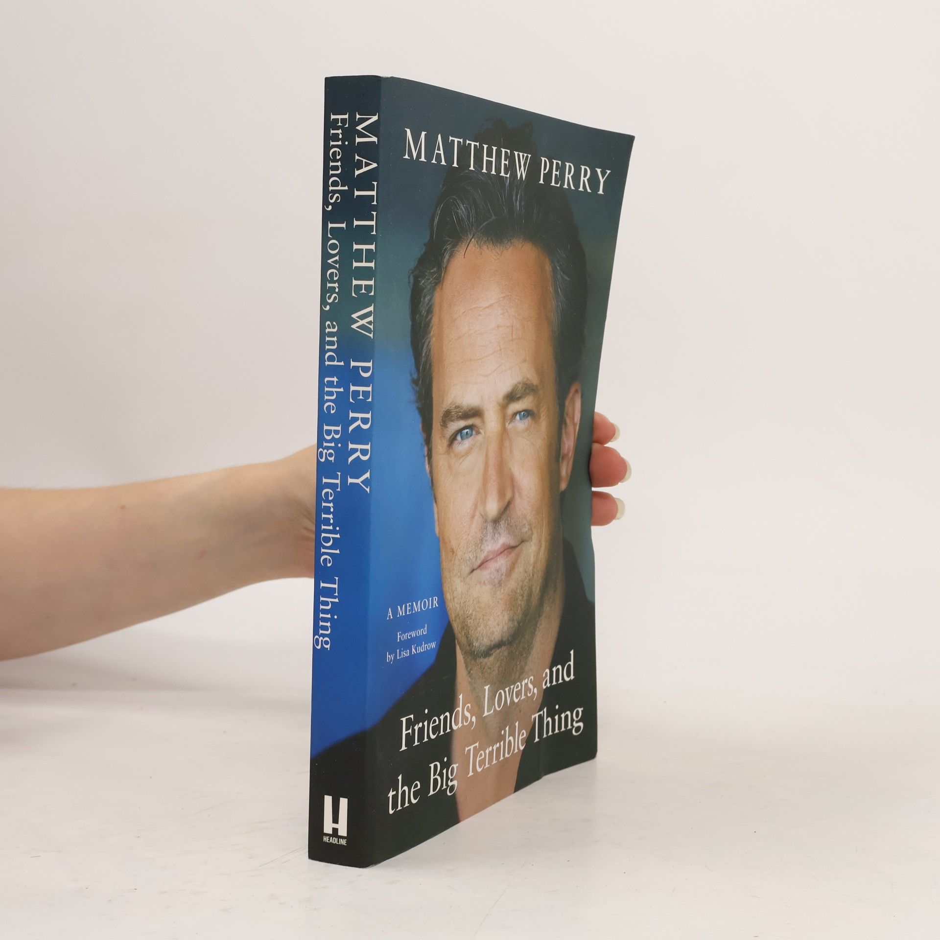 Matthew Perry Friends, lovers, and the big terrible thing