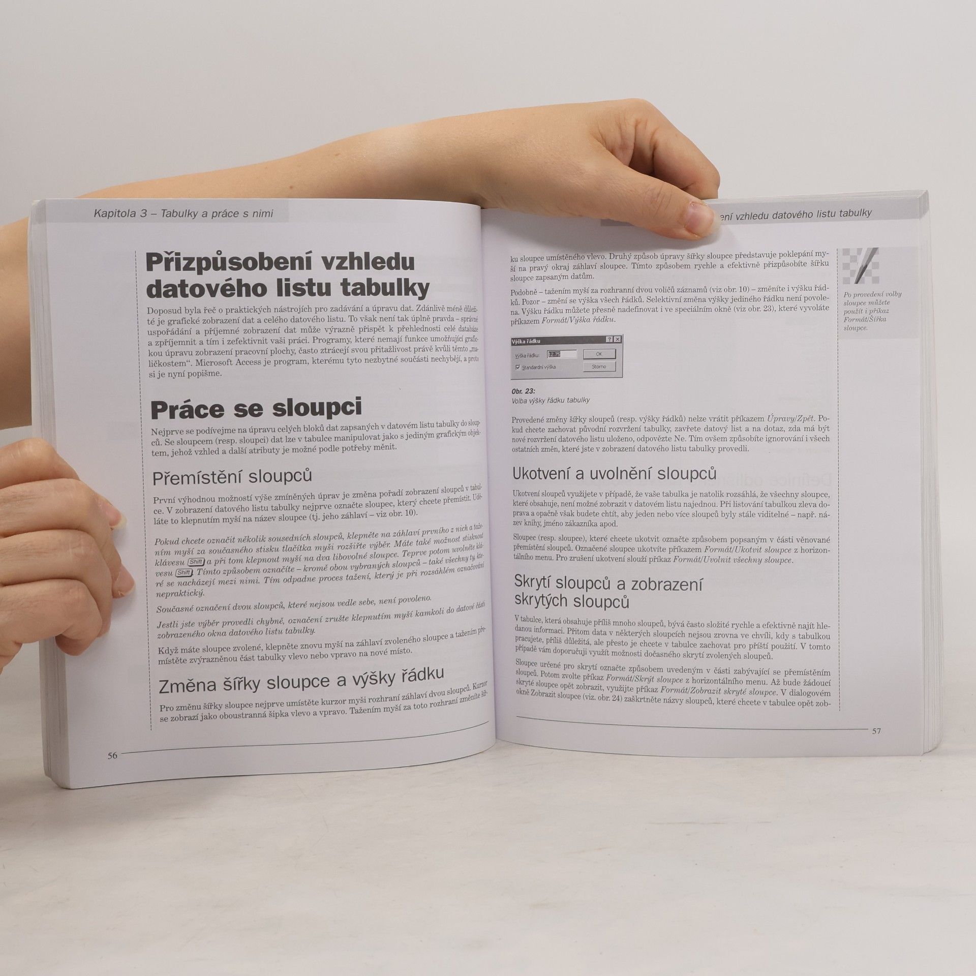 David Morkes Microsoft Access 2000. Základní příručka