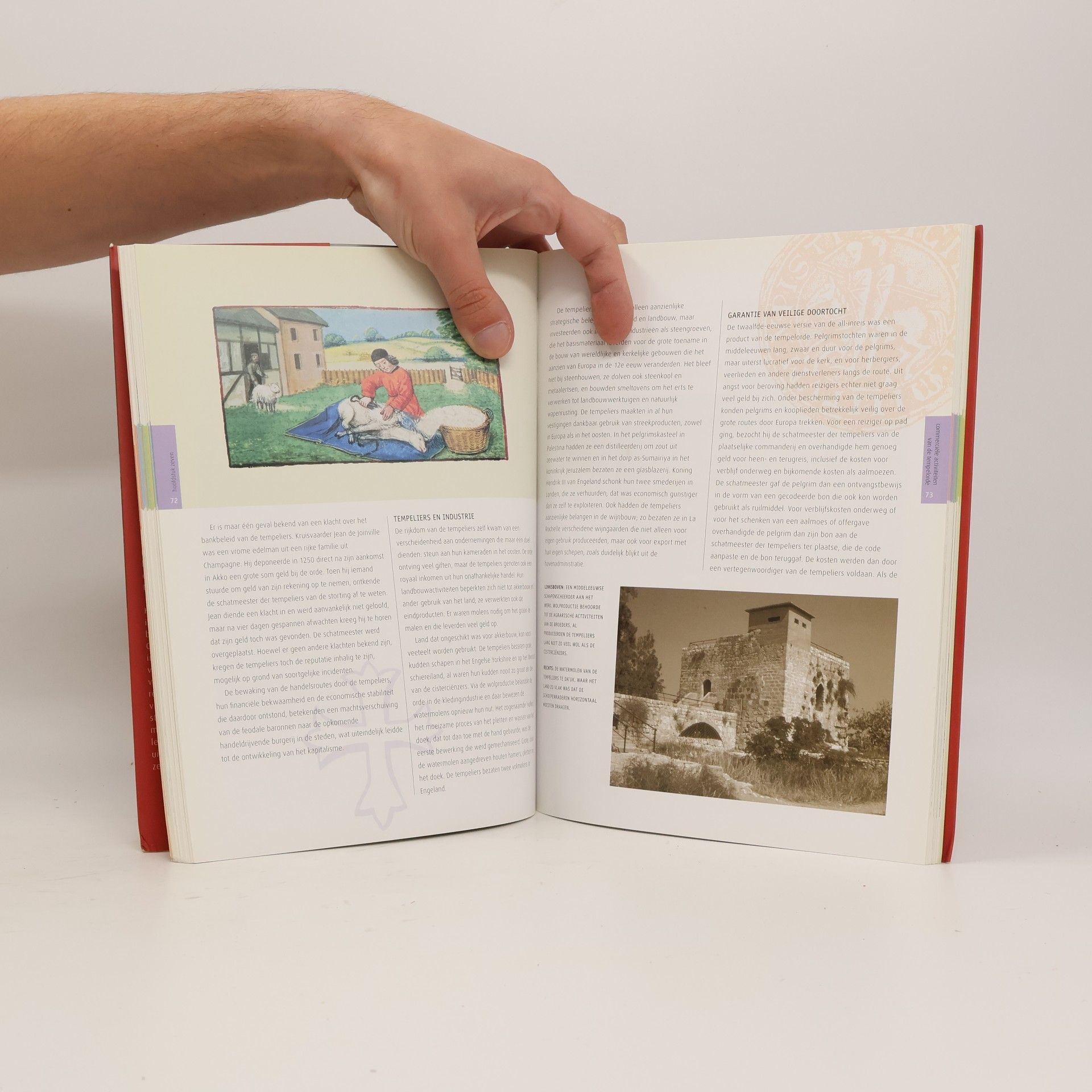 Marilyn Hopkins Tempeliers