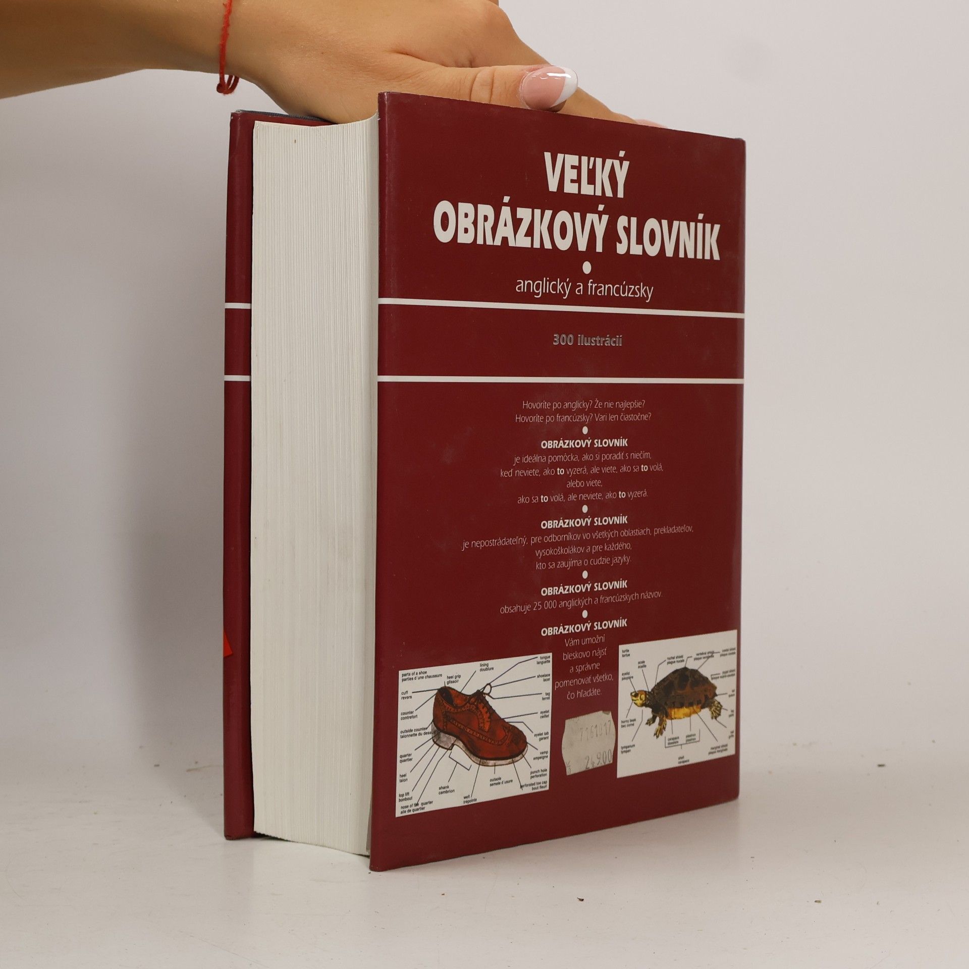 Ariane Archambault Veľký obrázkový slovník. Anglický a Francúzsky