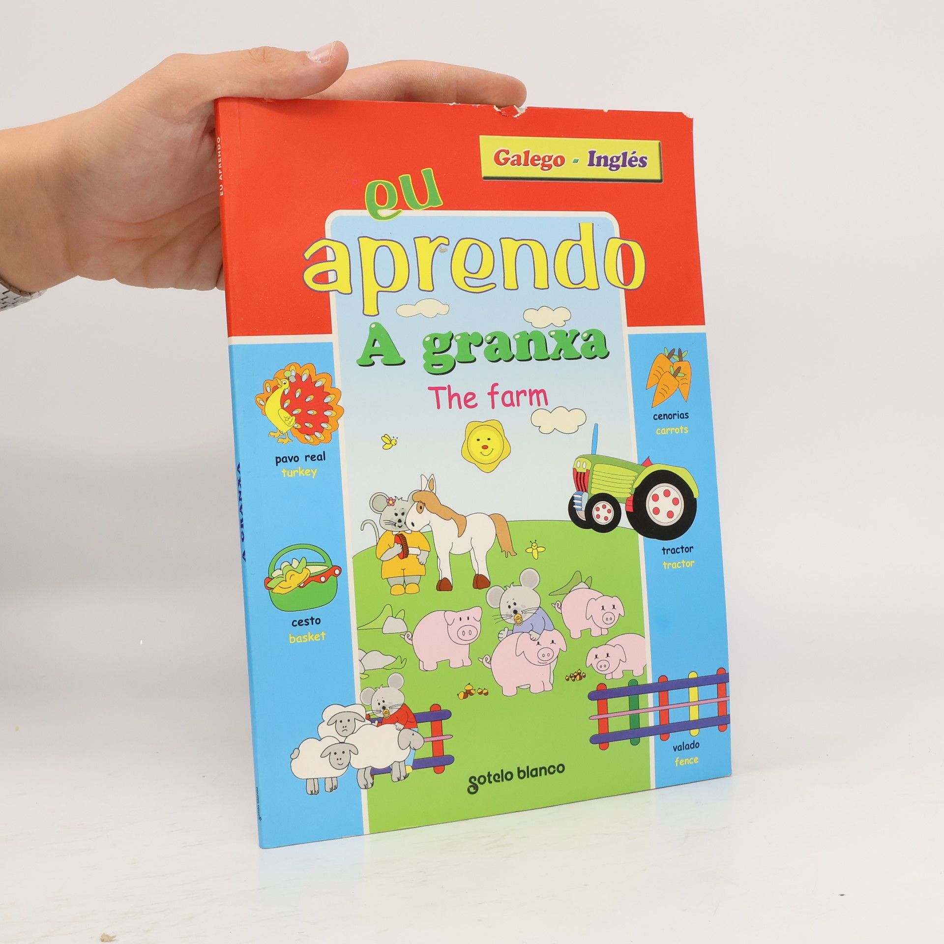Autorenkollektiv Eu aprendo-a granxa