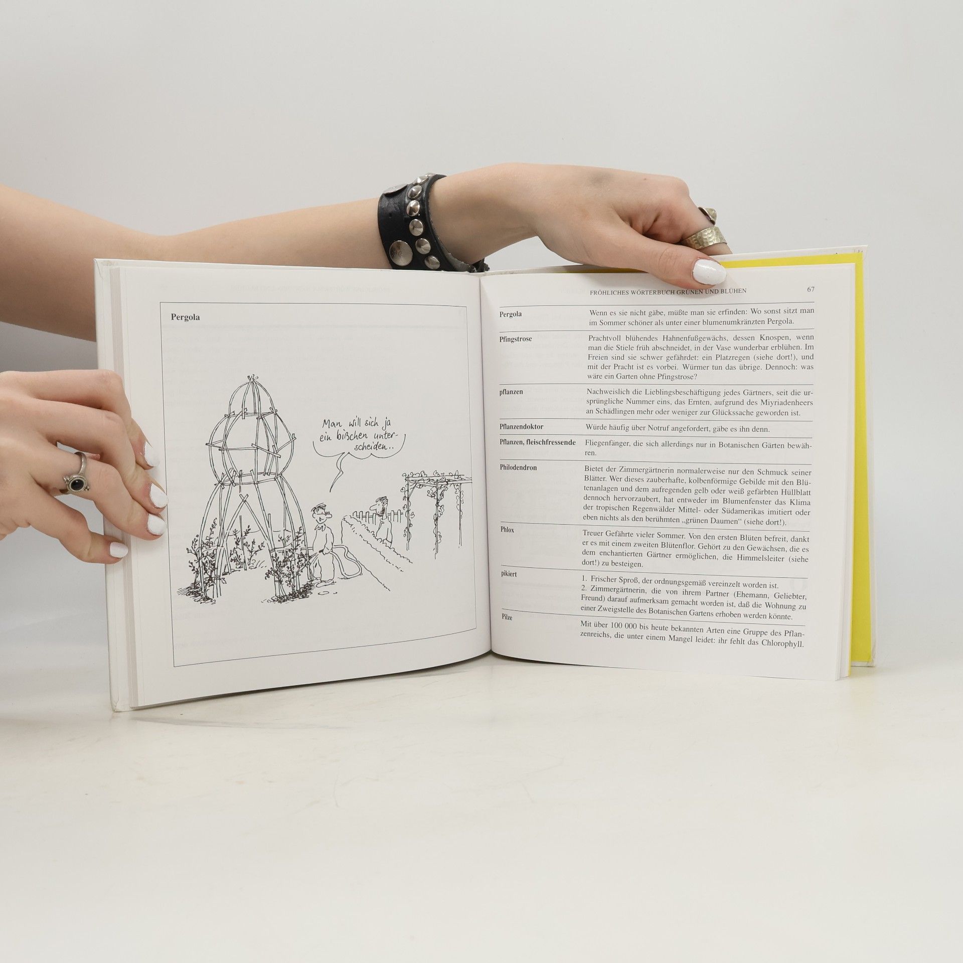 Autorenkollektiv Grünen & blühen