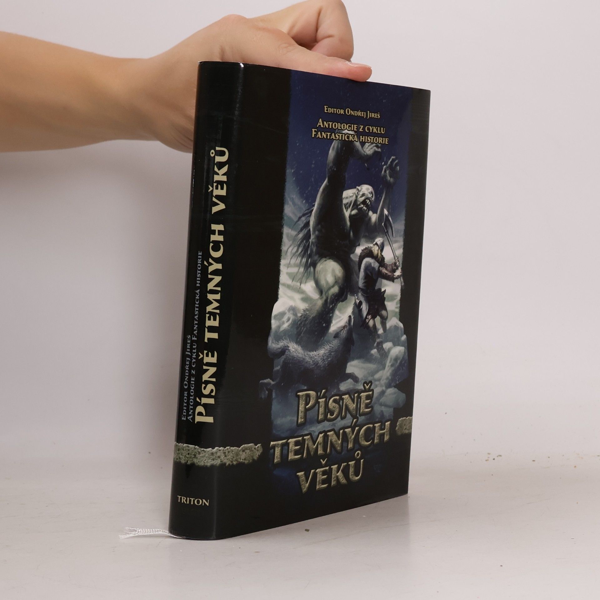 Písně temných věků : fantastická historie