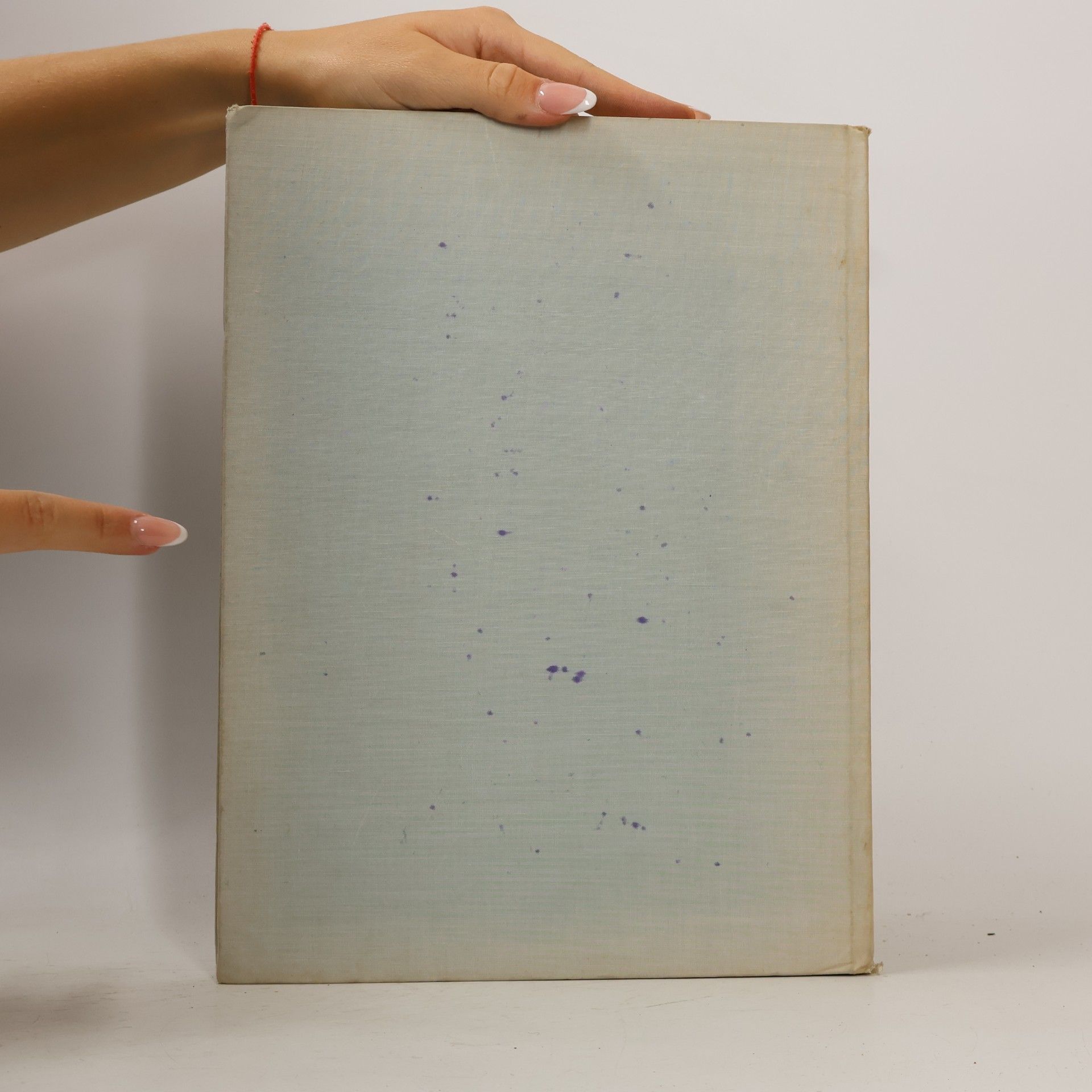 Karol Vaculík The Art of the 19th Century in Slovakia