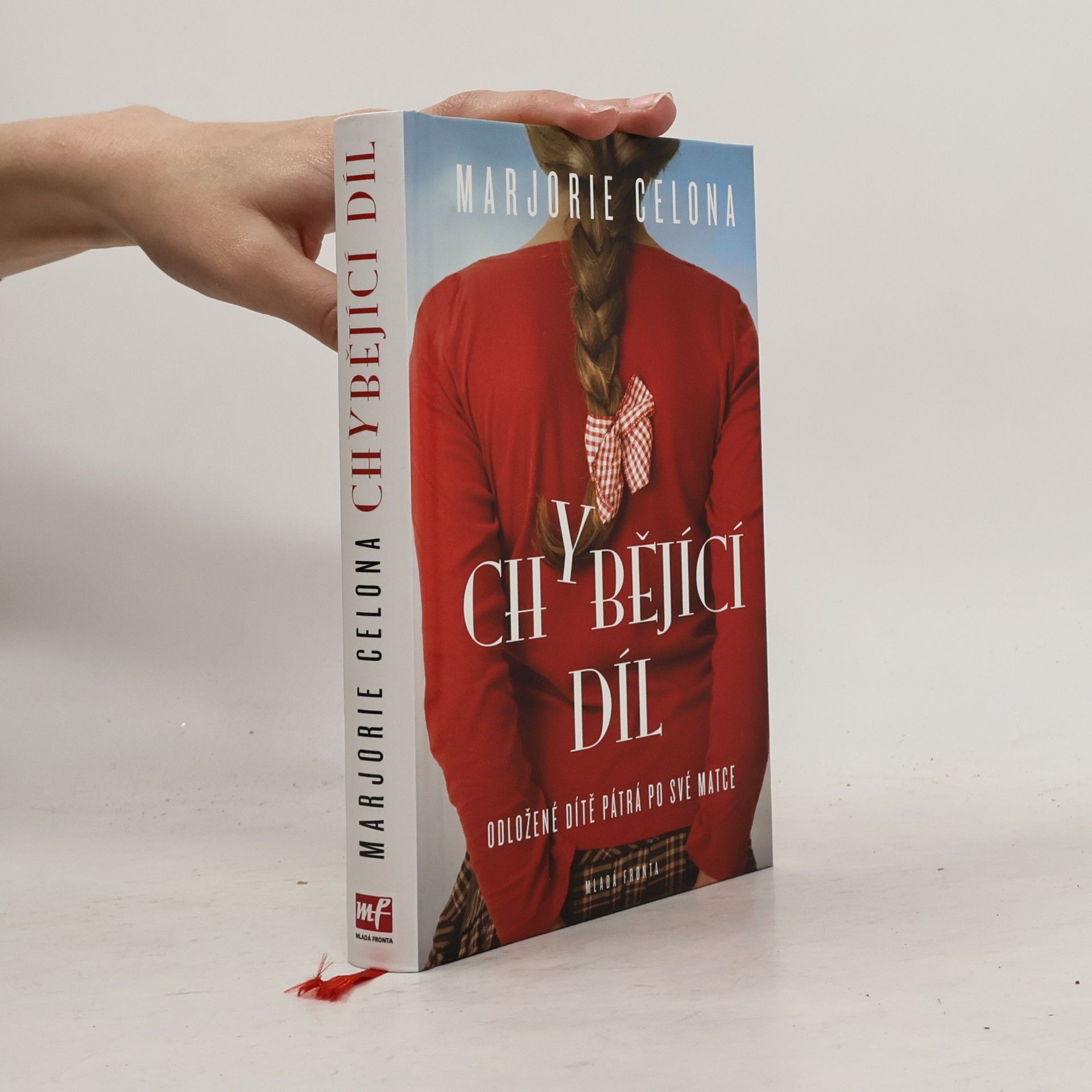 Marjorie Celona Chybějící díl