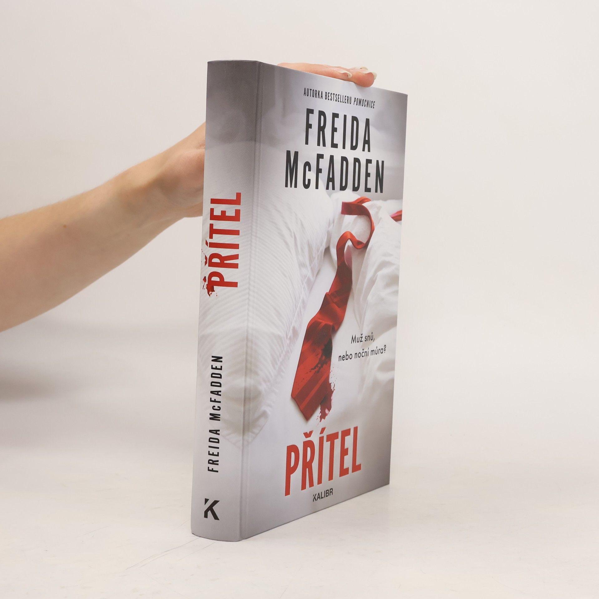 Freida McFadden Přítel