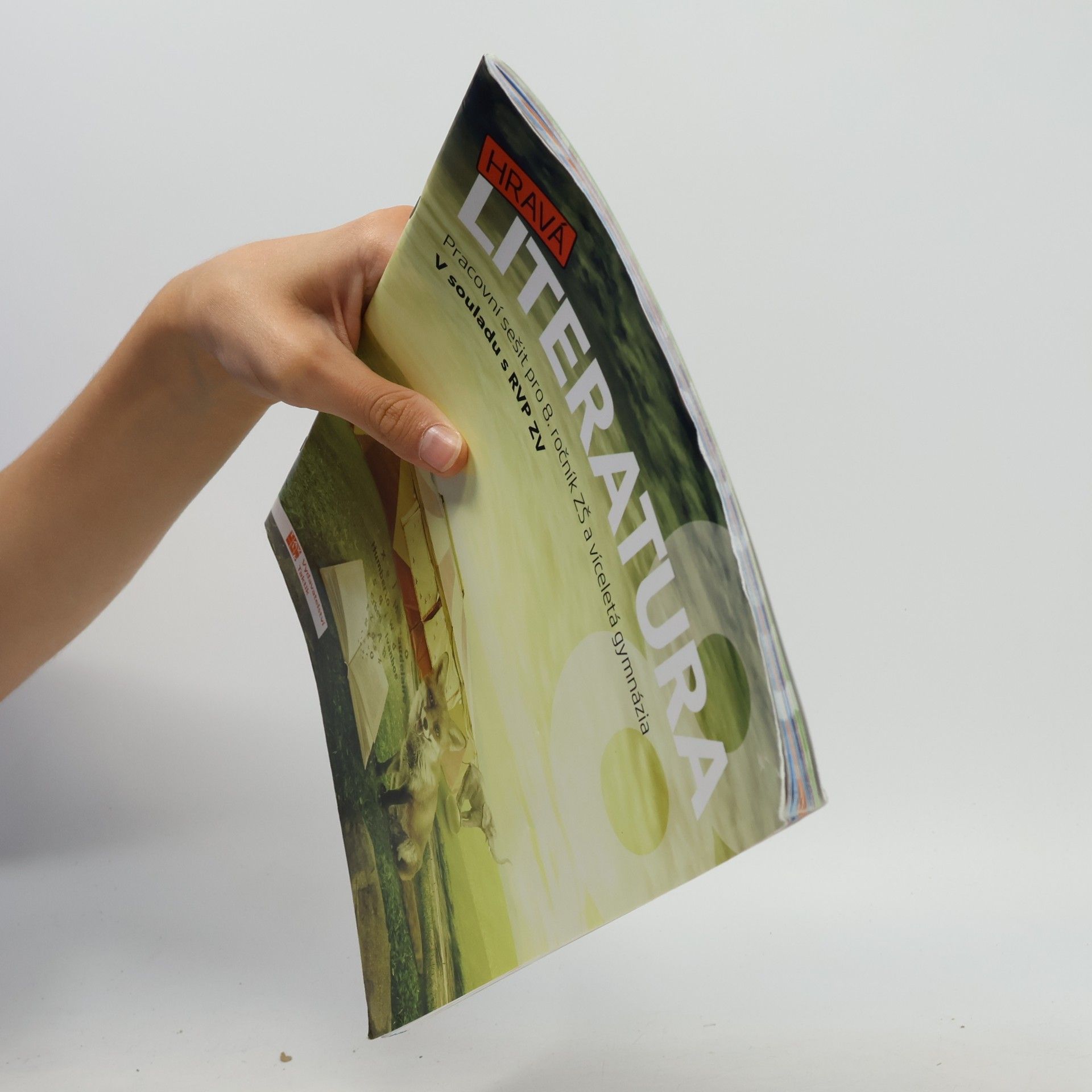 Kolektiv autorů Hravá literatura 8 : pracovní sešit pro 8. ročník ZŠ a víceletá gymnázia
