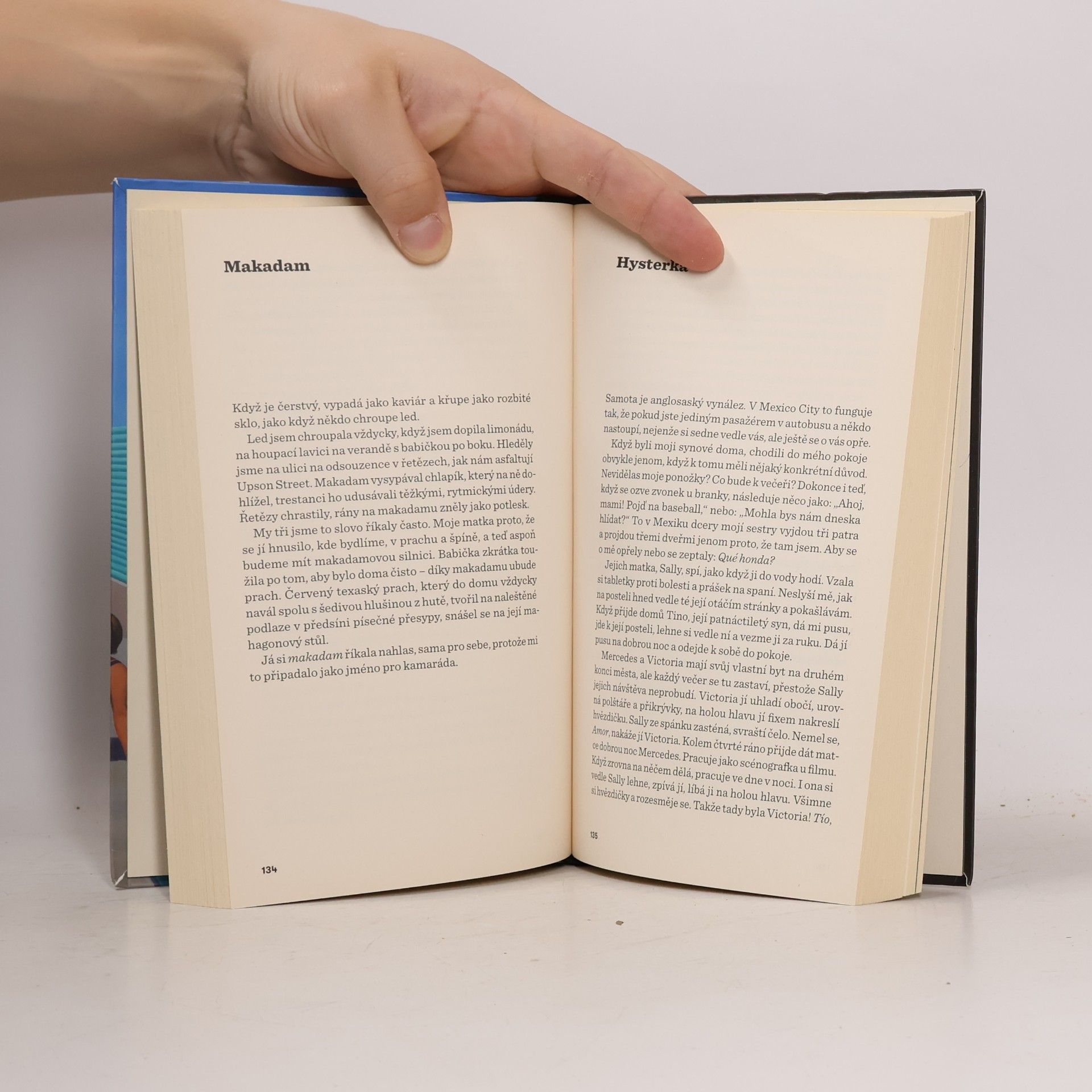 Lucia Berlin Manuál pro uklízečky