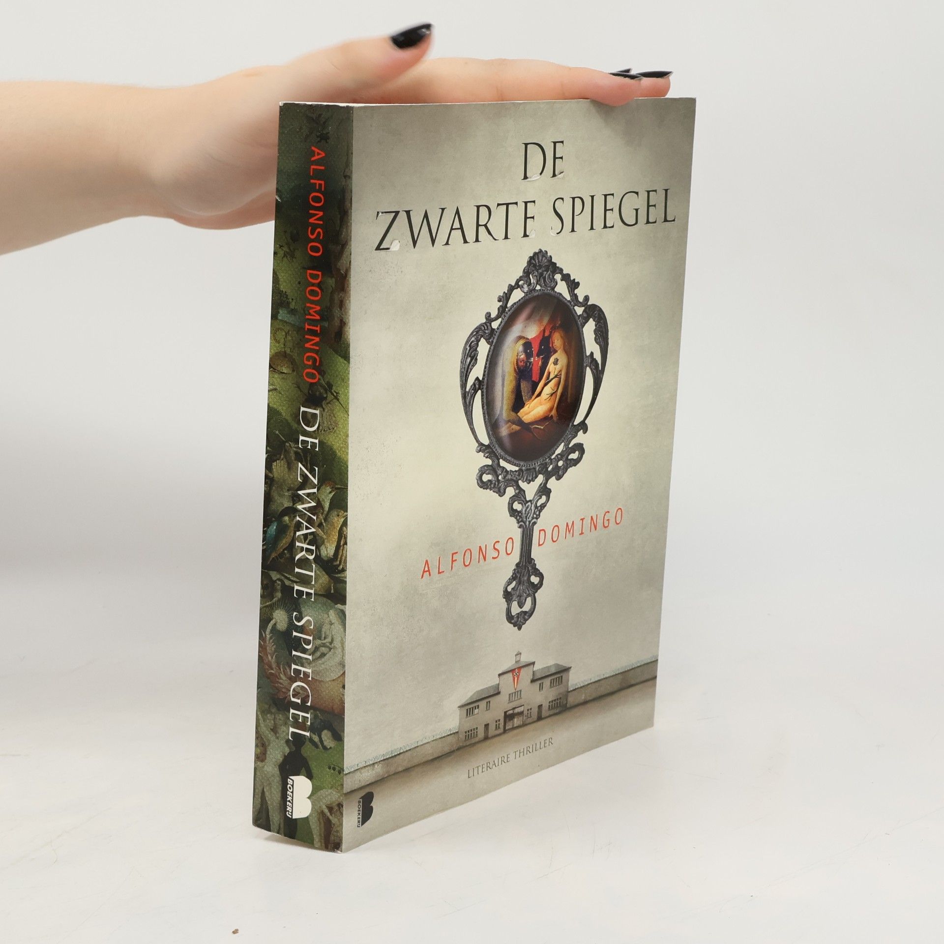 De zwarte spiegel