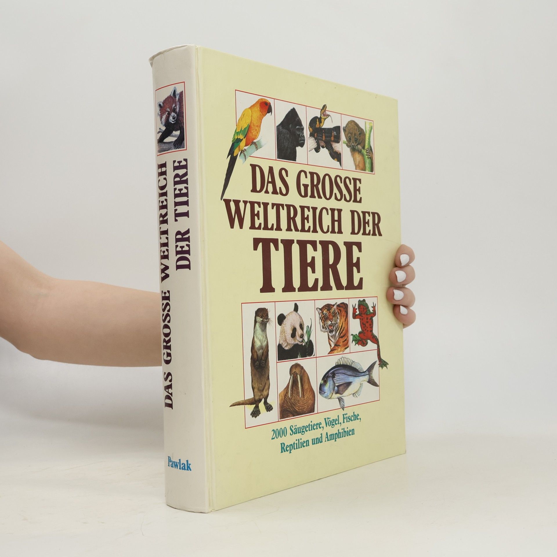 Dr Philip Whitfield Das grosse Weltreich der Tiere