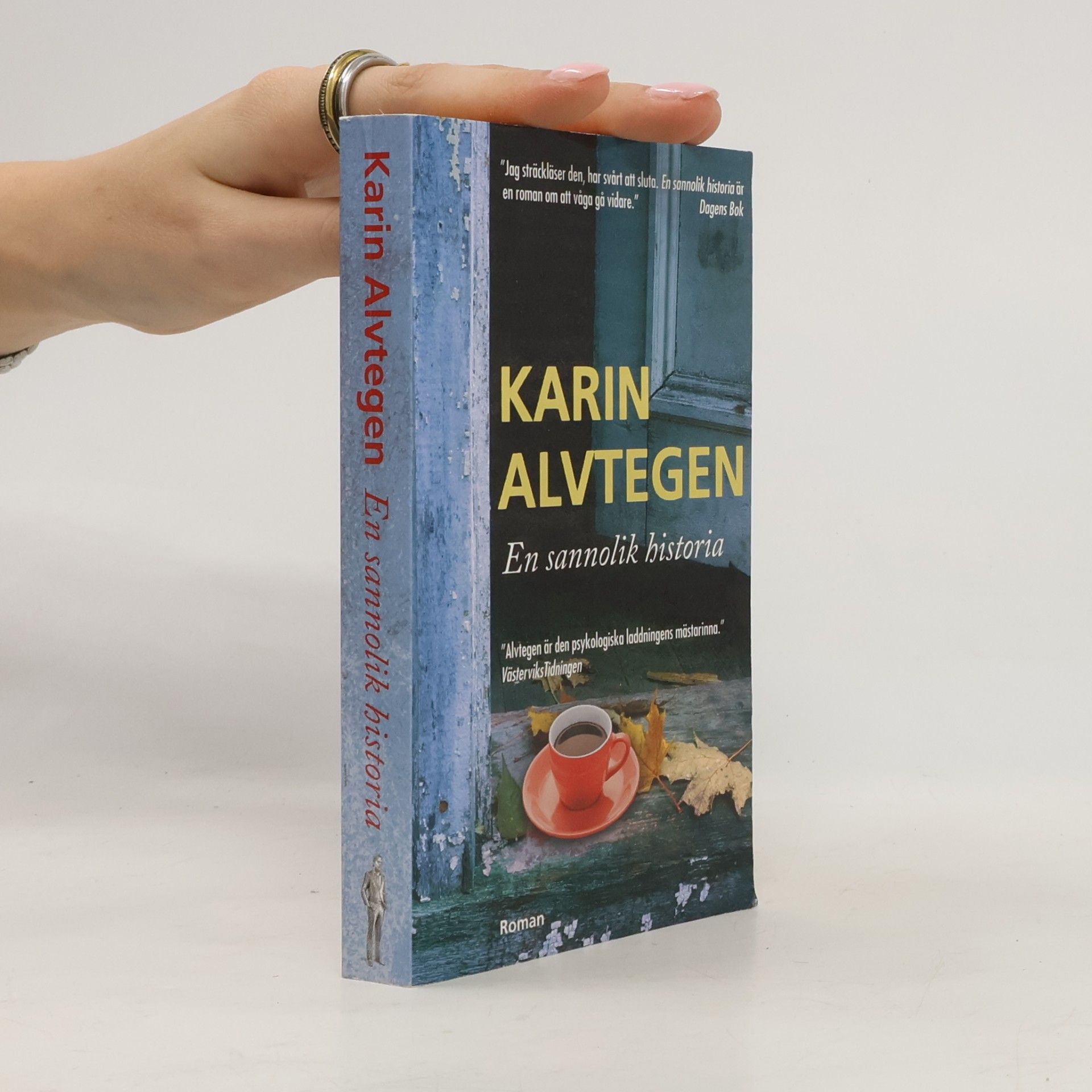 Karin Alvtegen En sannolik historia
