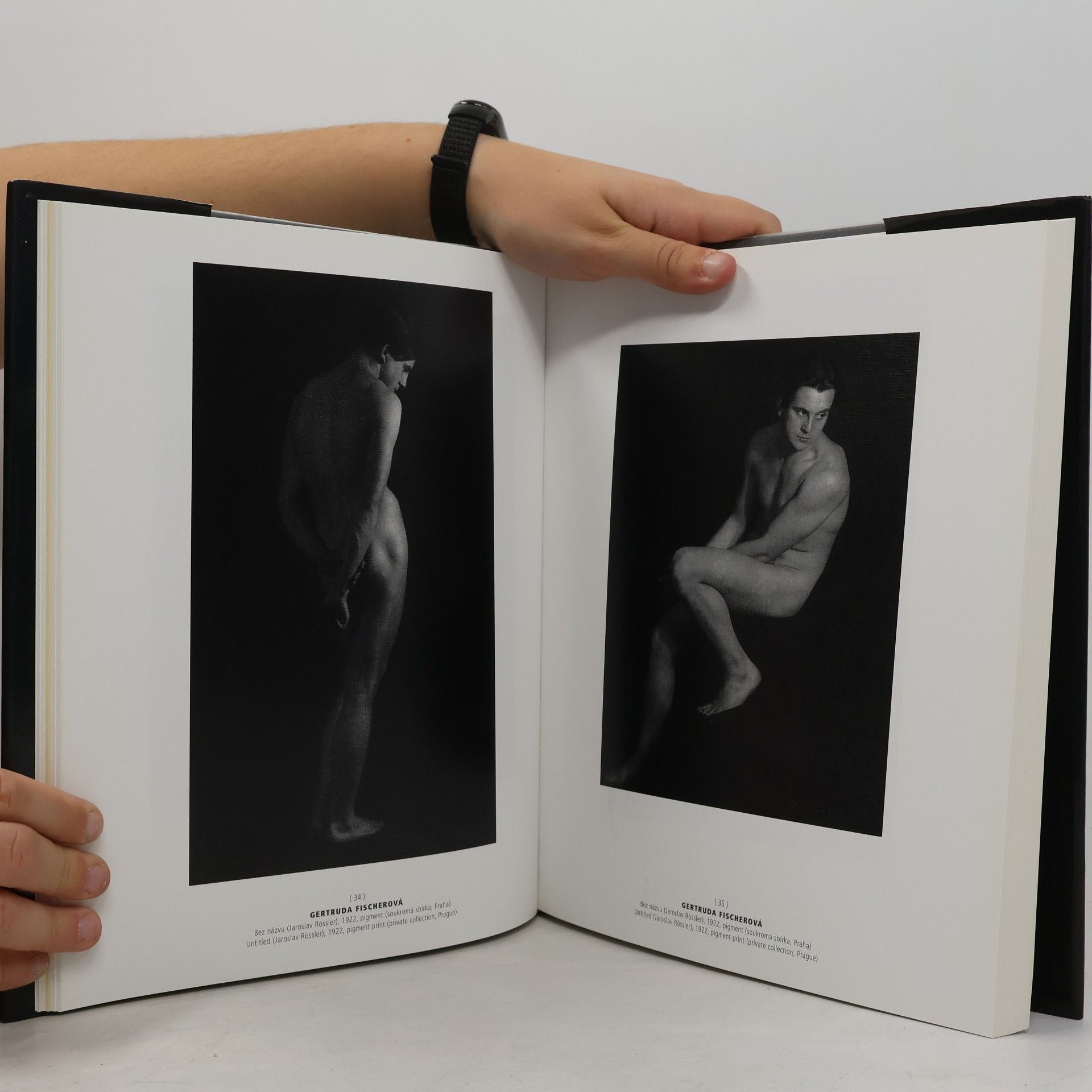 Vladimír Birgus Akt v české fotografii; The Nude in Czech Photography