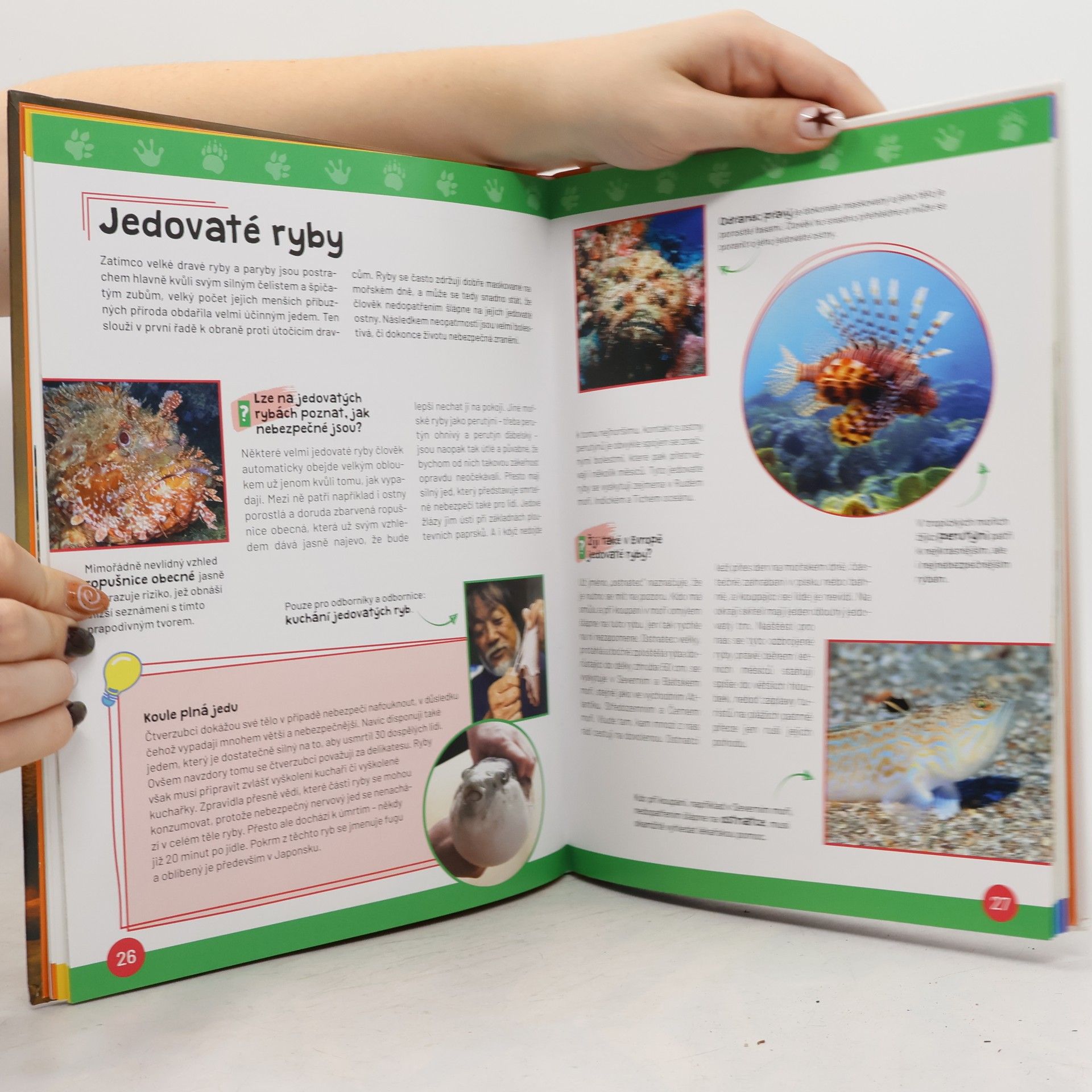 Autorenkollektiv Nebezpečná zvířata