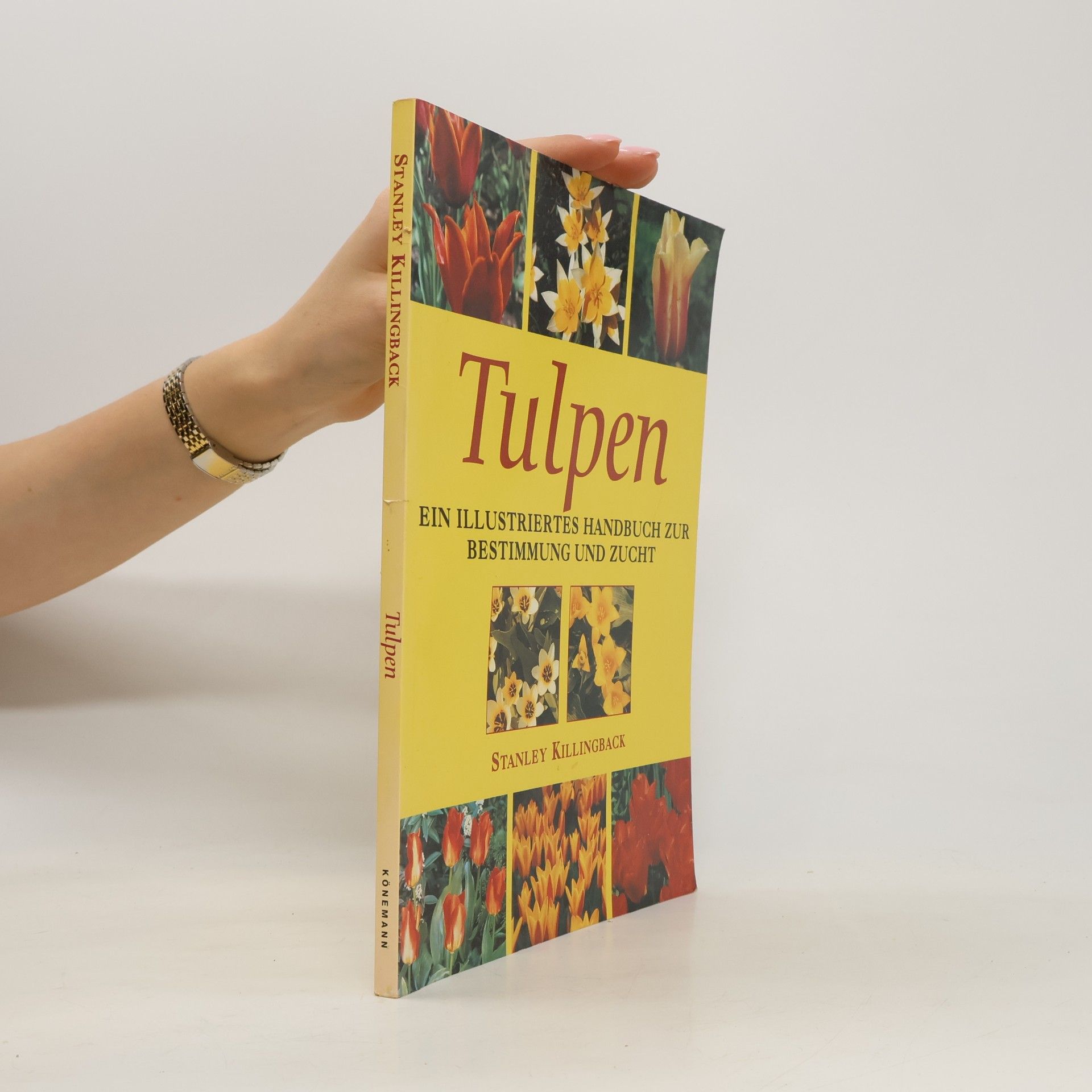 Stanley Killingback Tulpen
