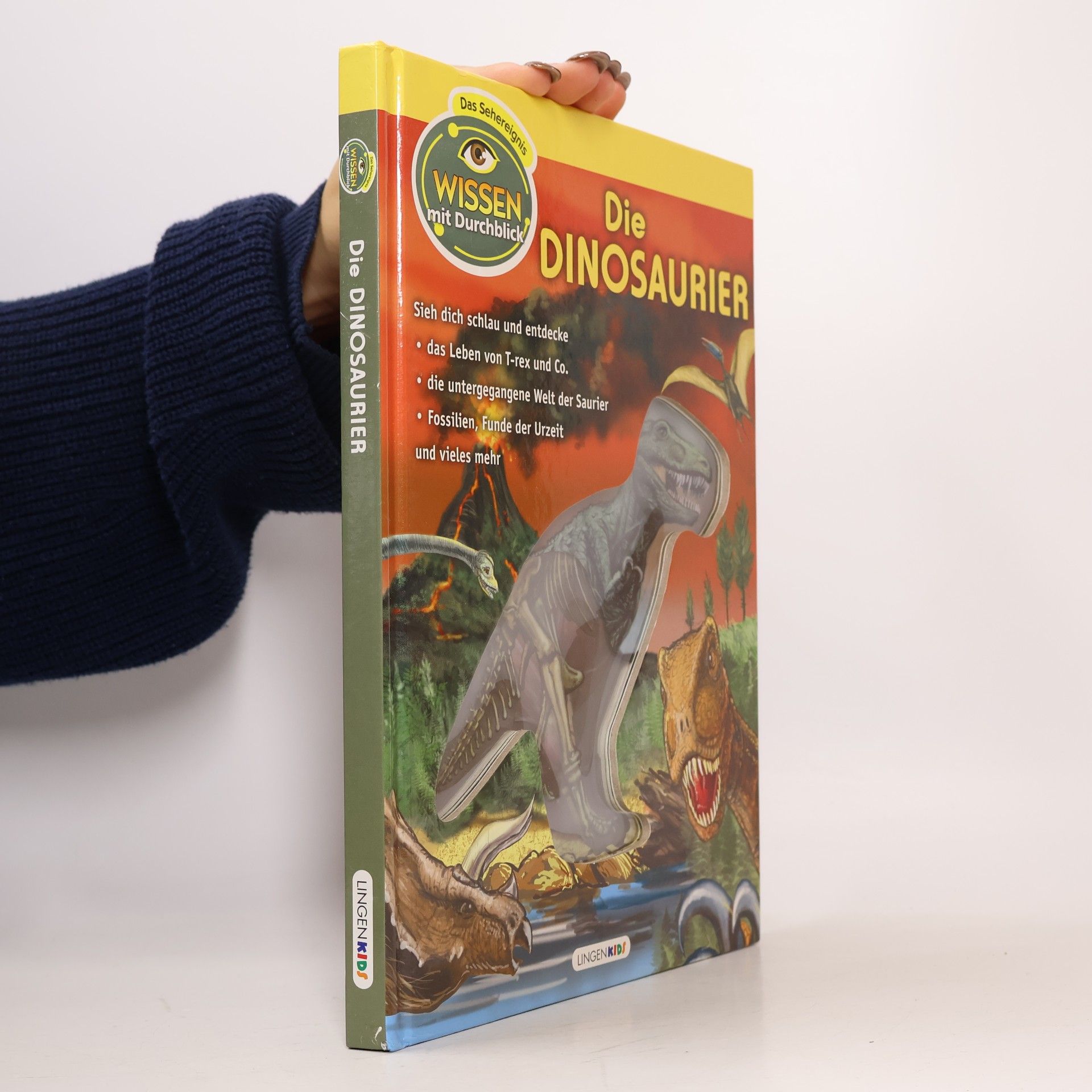 Kolektiv autorů Die Dinosaurier