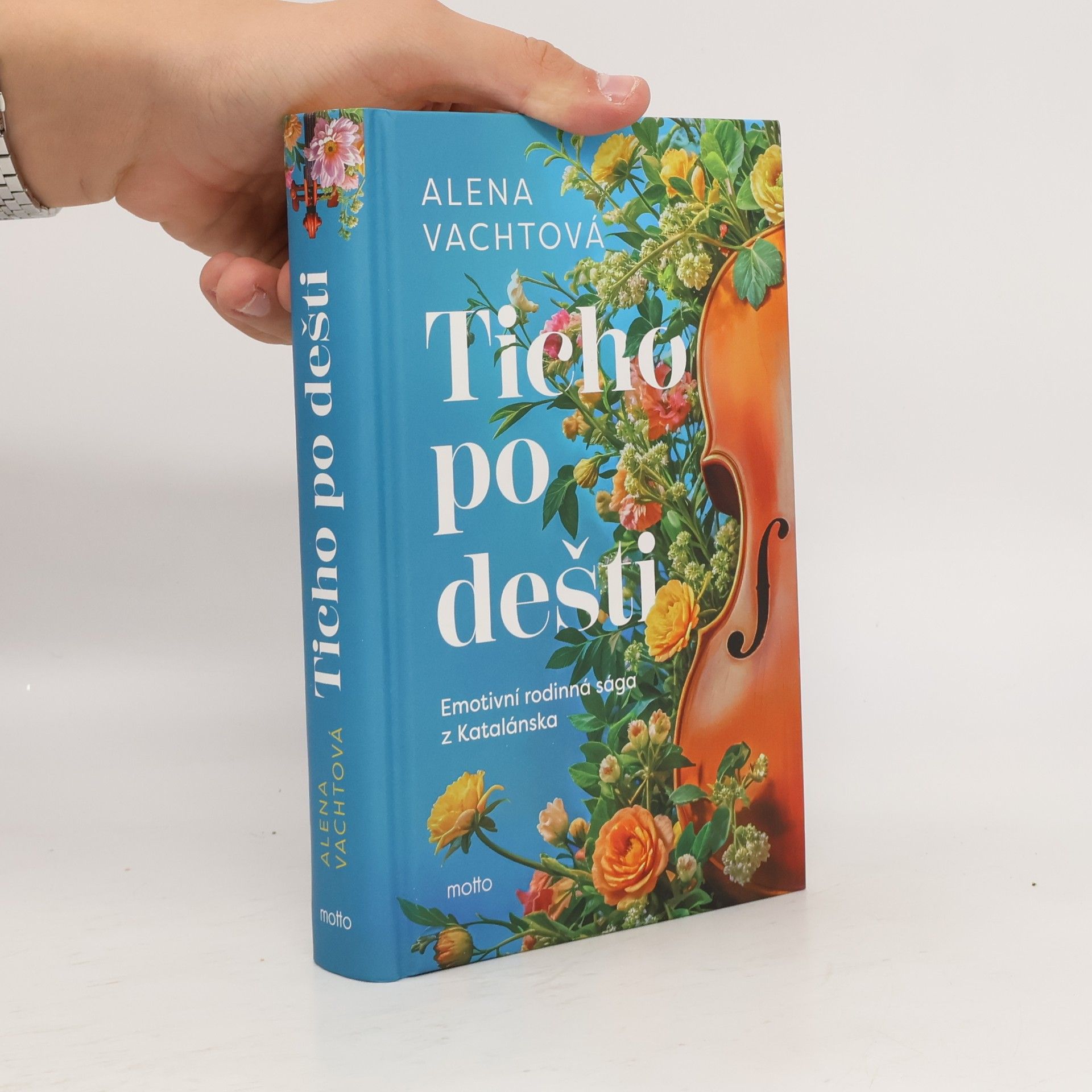 Alena Vachtová Ticho po dešti