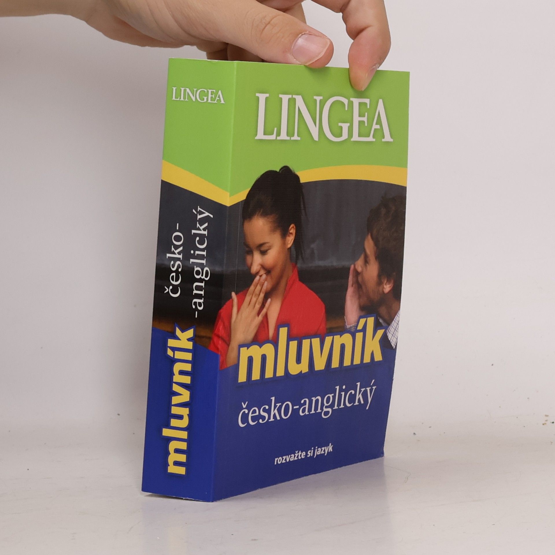 Autorenkollektiv Mluvník česko-anglický