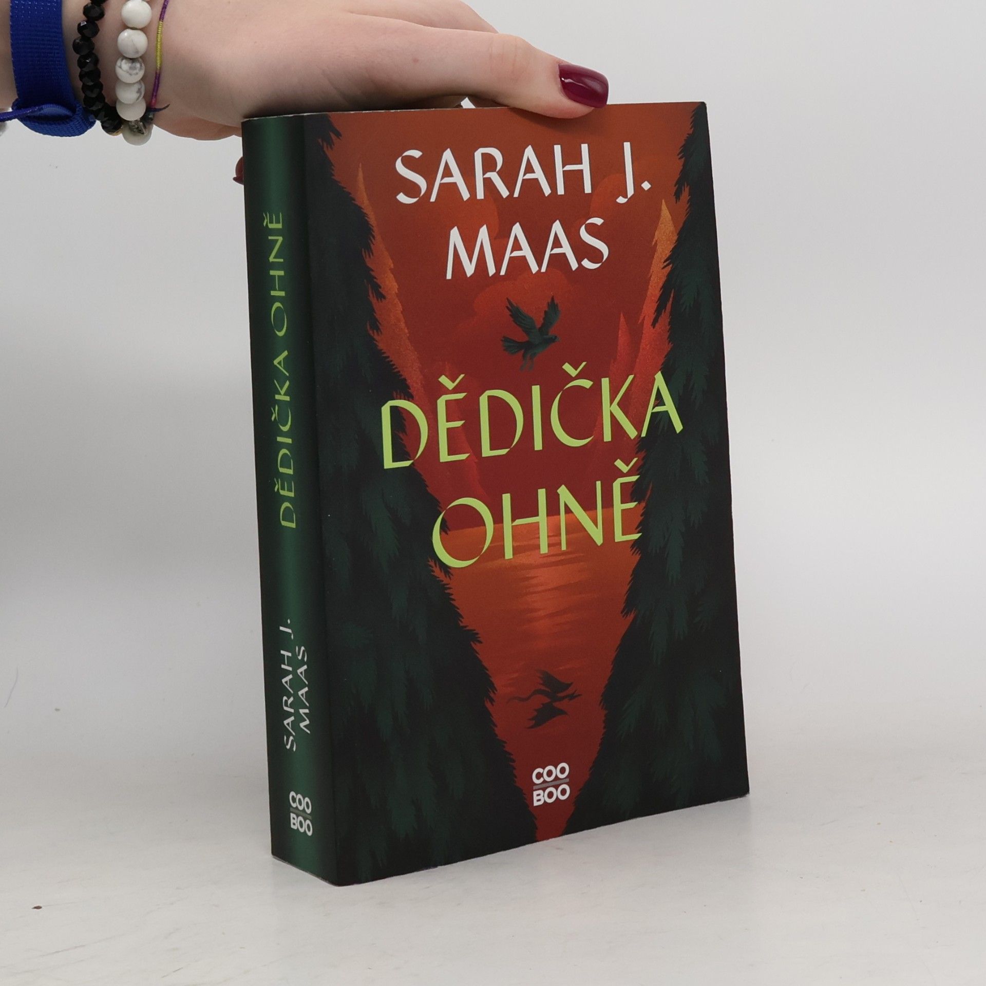Sarah J. Maas Dědička ohně