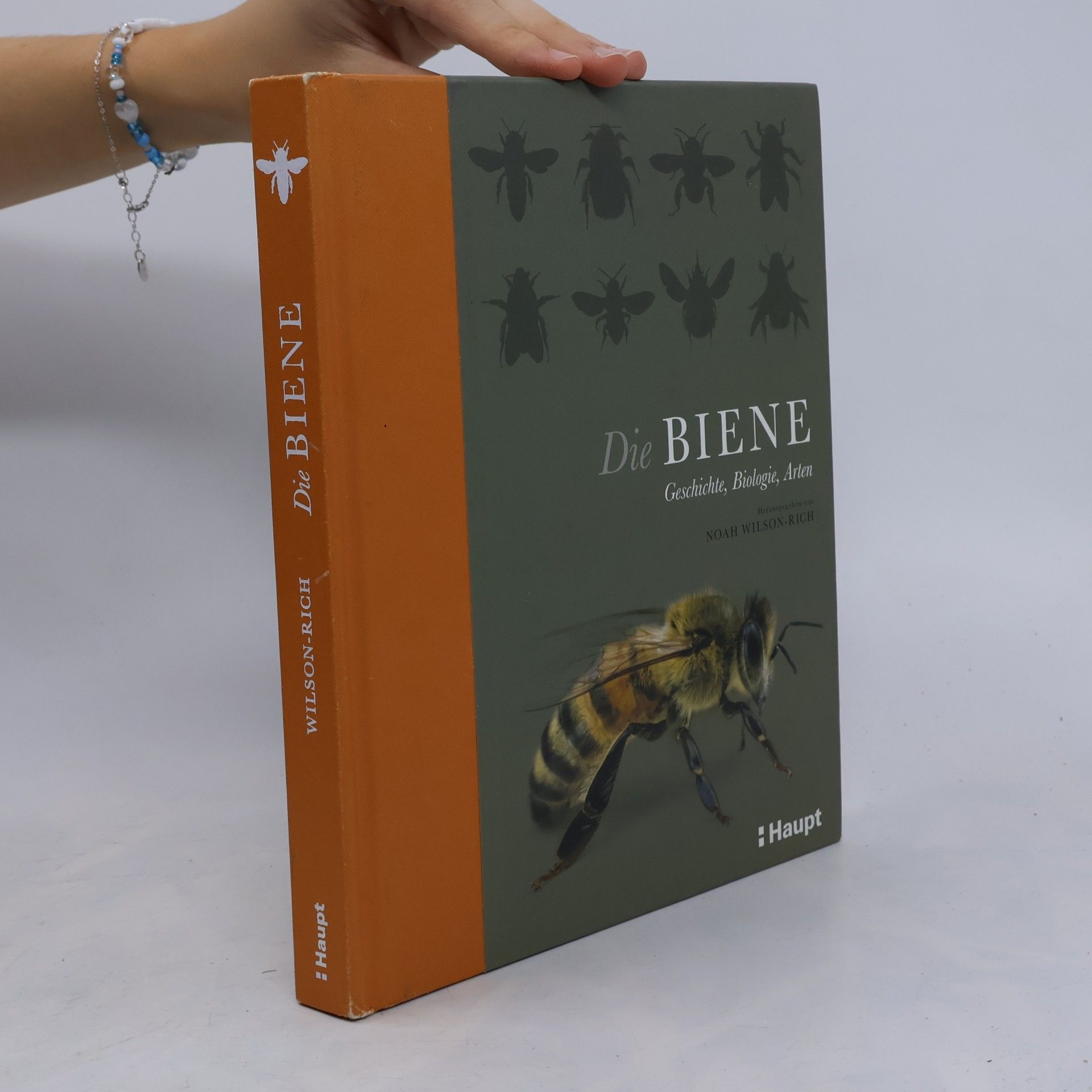 Noah Wilson-Rich Die Biene
