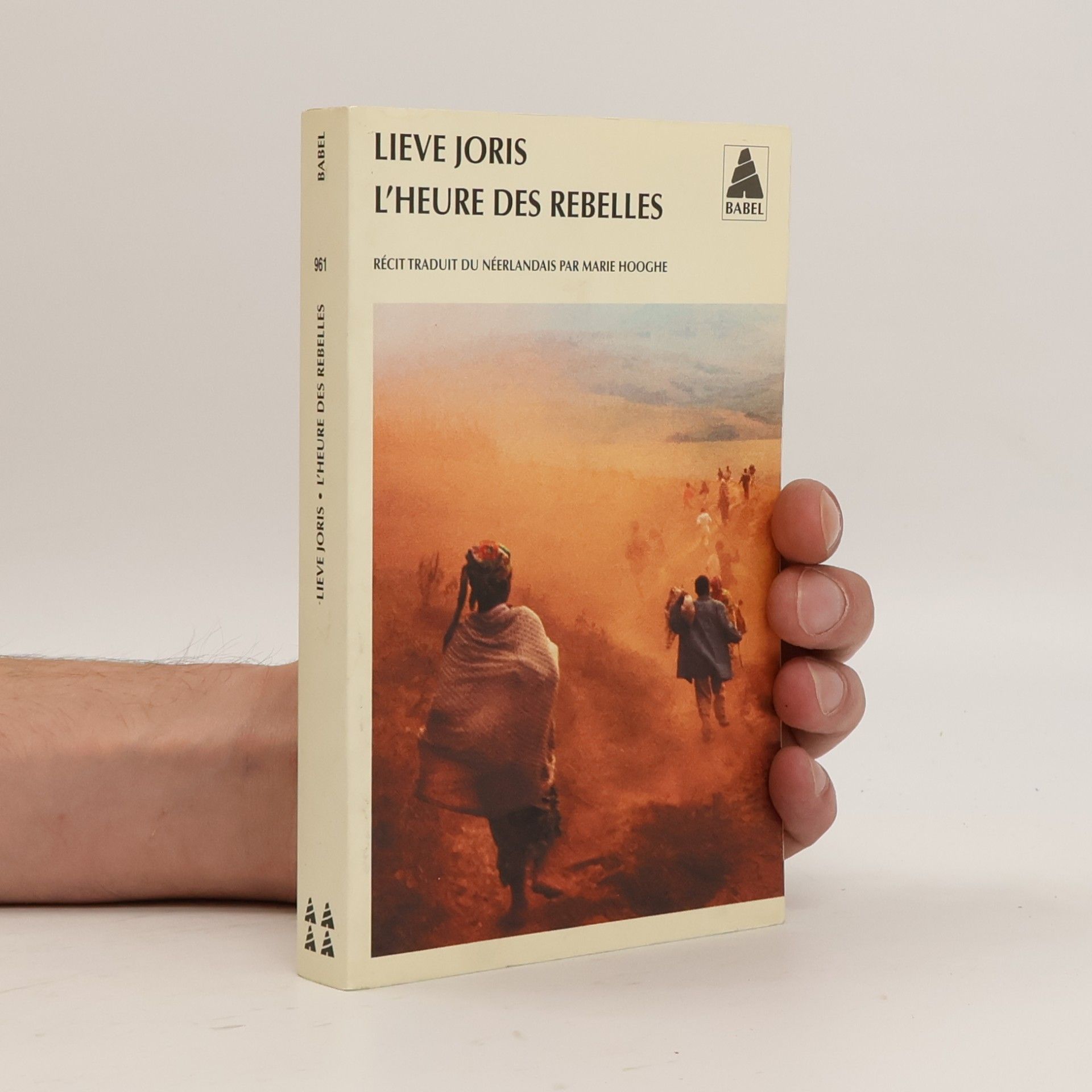 Marie Hoogher L'Heure des rebelles - traduit du néerlandais par Marie Hooghe