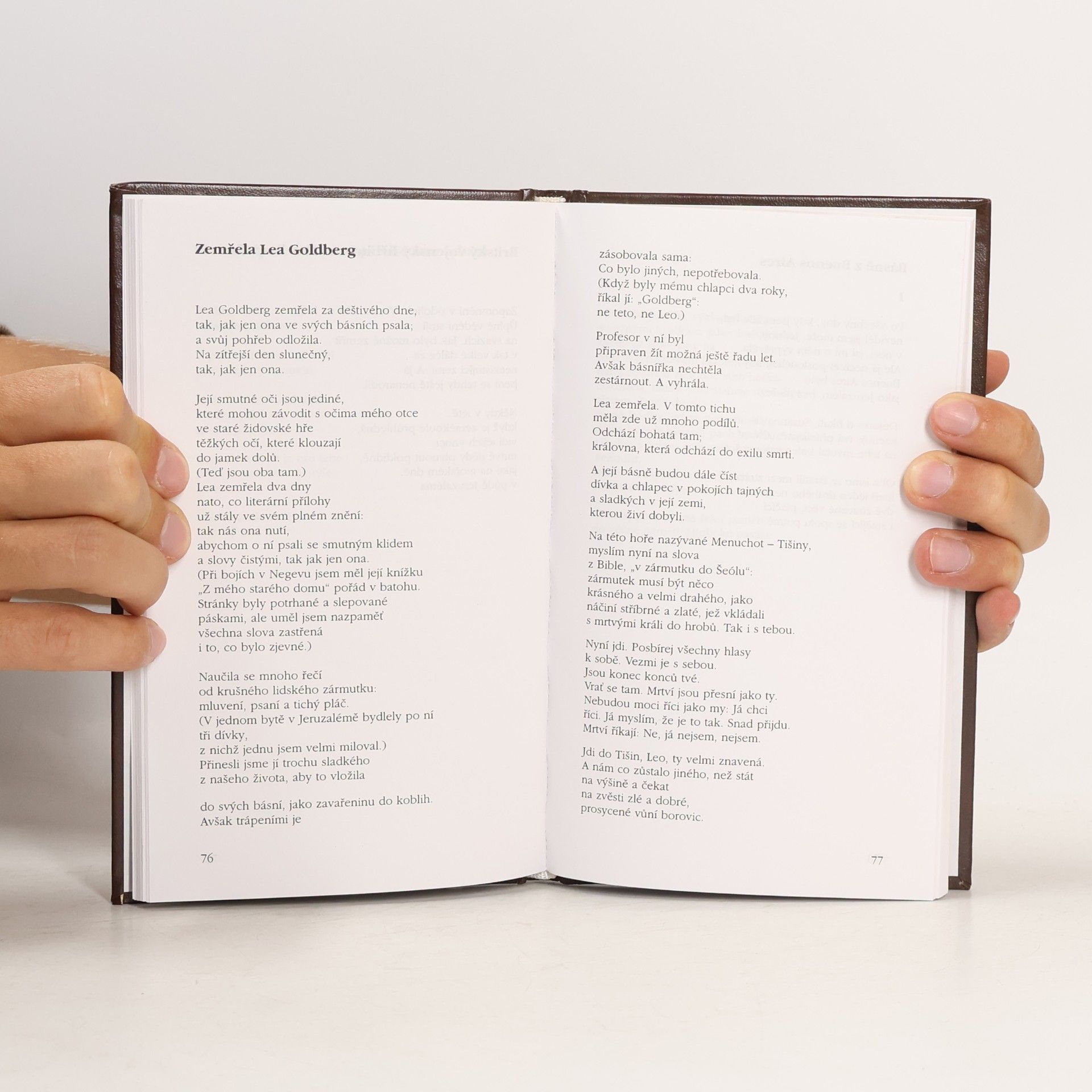 Jehuda Amichai Svícen v poušti