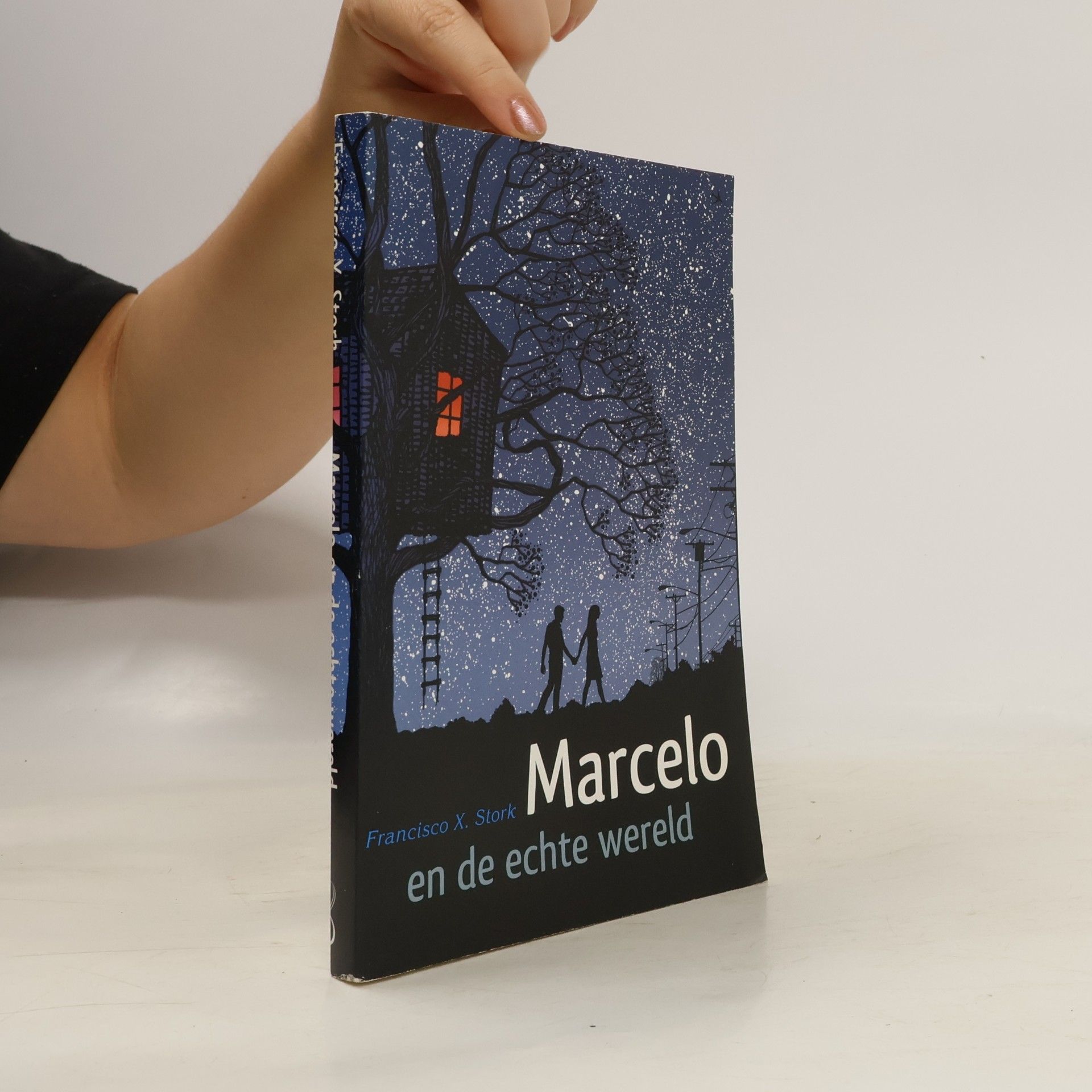 Francisco X. Stork Marcelo en de echte wereld