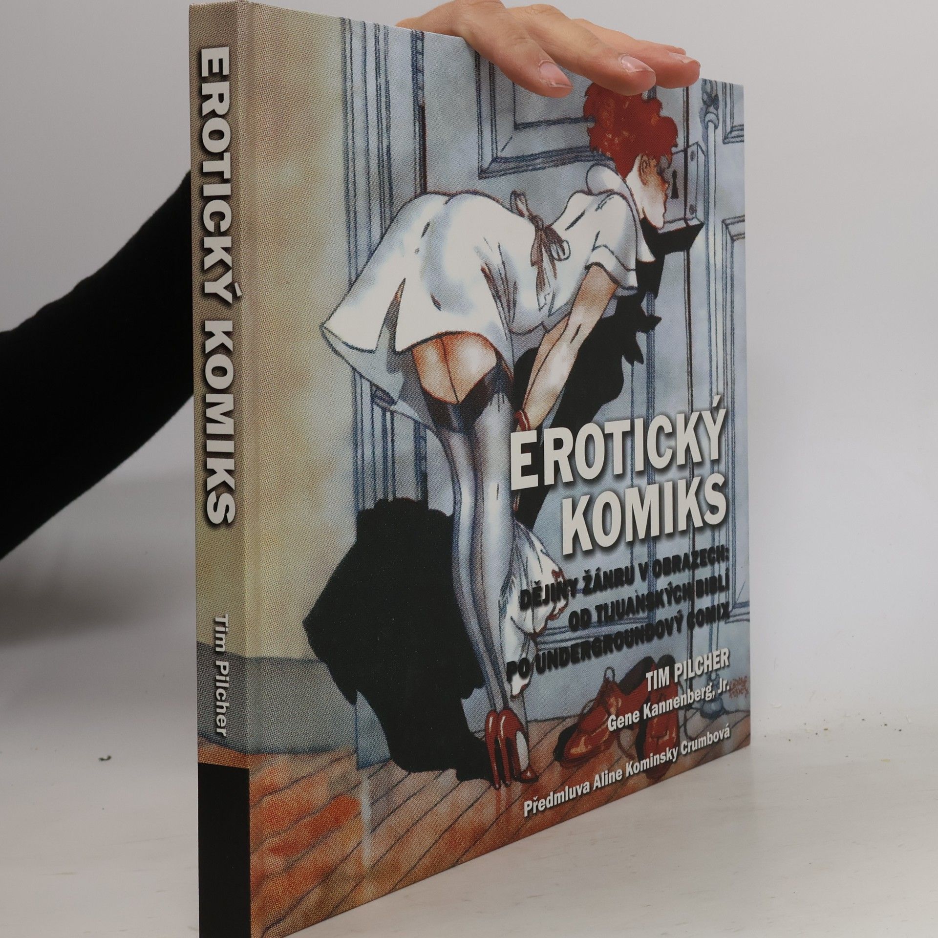 Tim Pilcher Erotický komiks: Dějiny žánru v obrazech