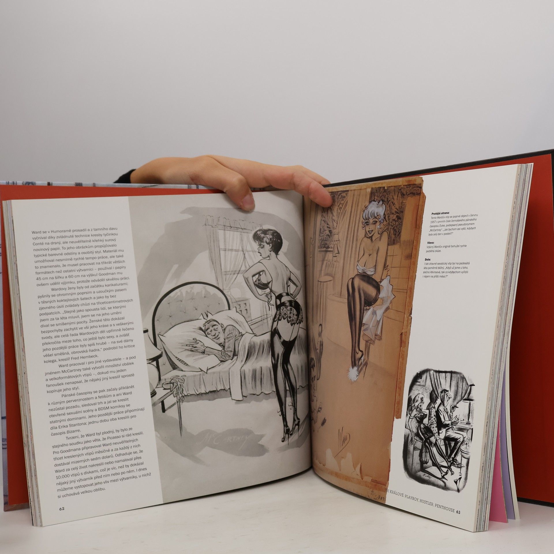 Tim Pilcher Erotický komiks: Dějiny žánru v obrazech
