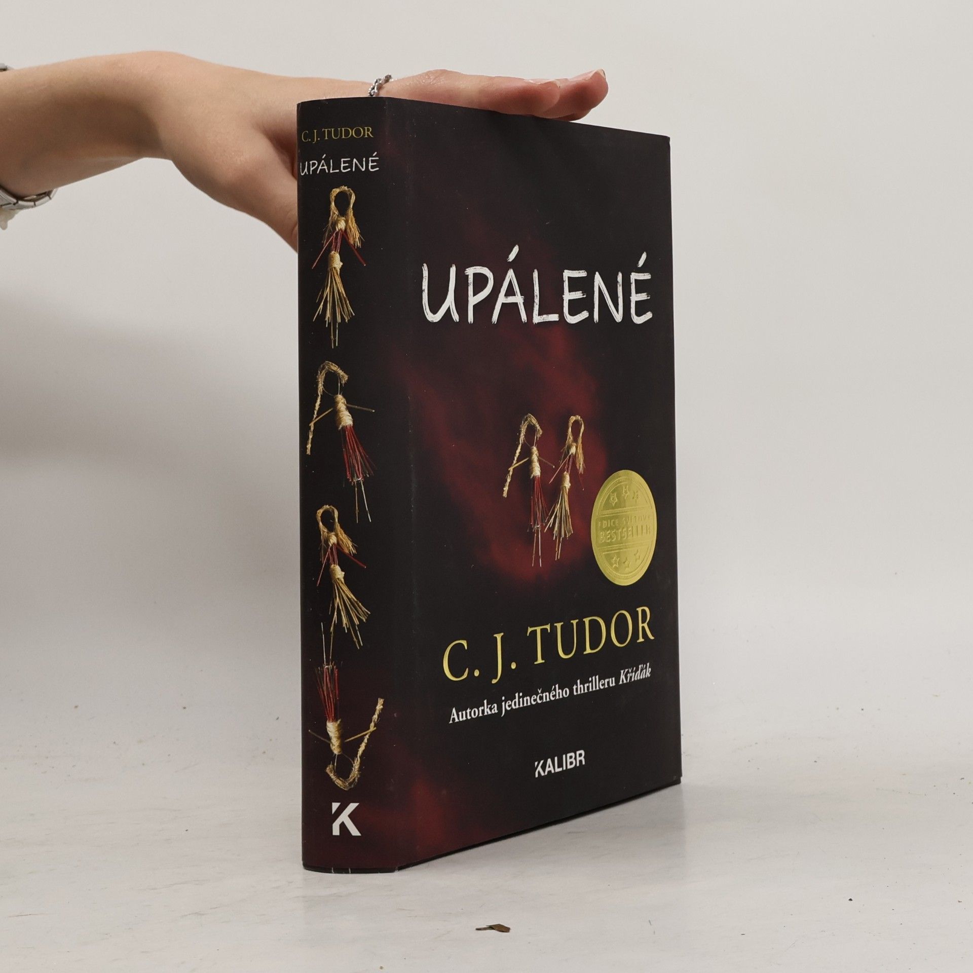 C.J. Tudor Upálené