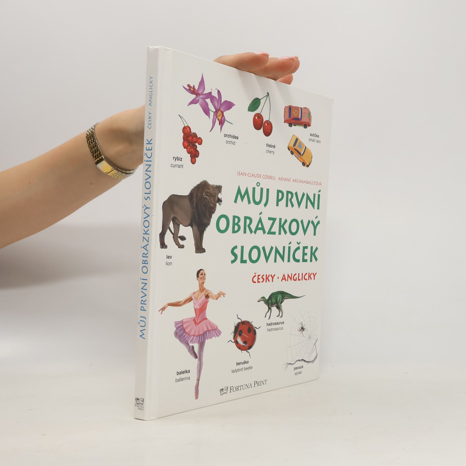Auteurscollectief Můj první obrázkový slovníček