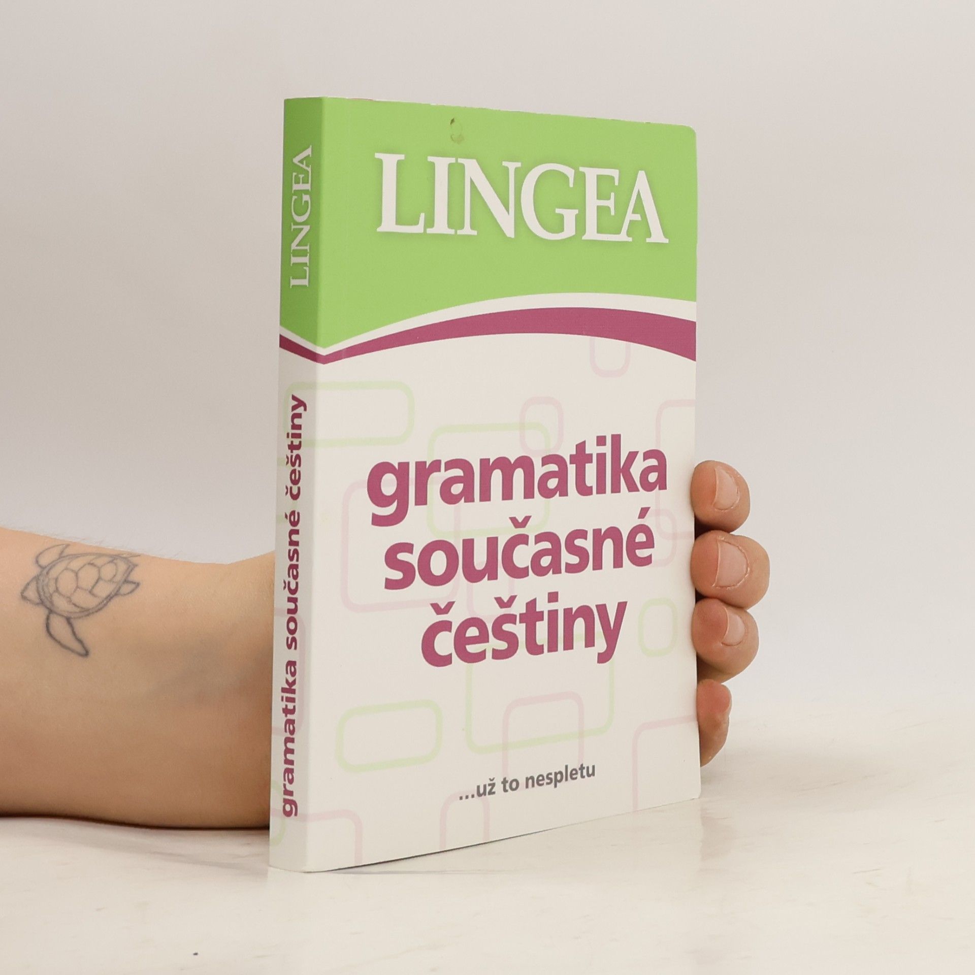 Autorenkollektiv Gramatika současné češtiny