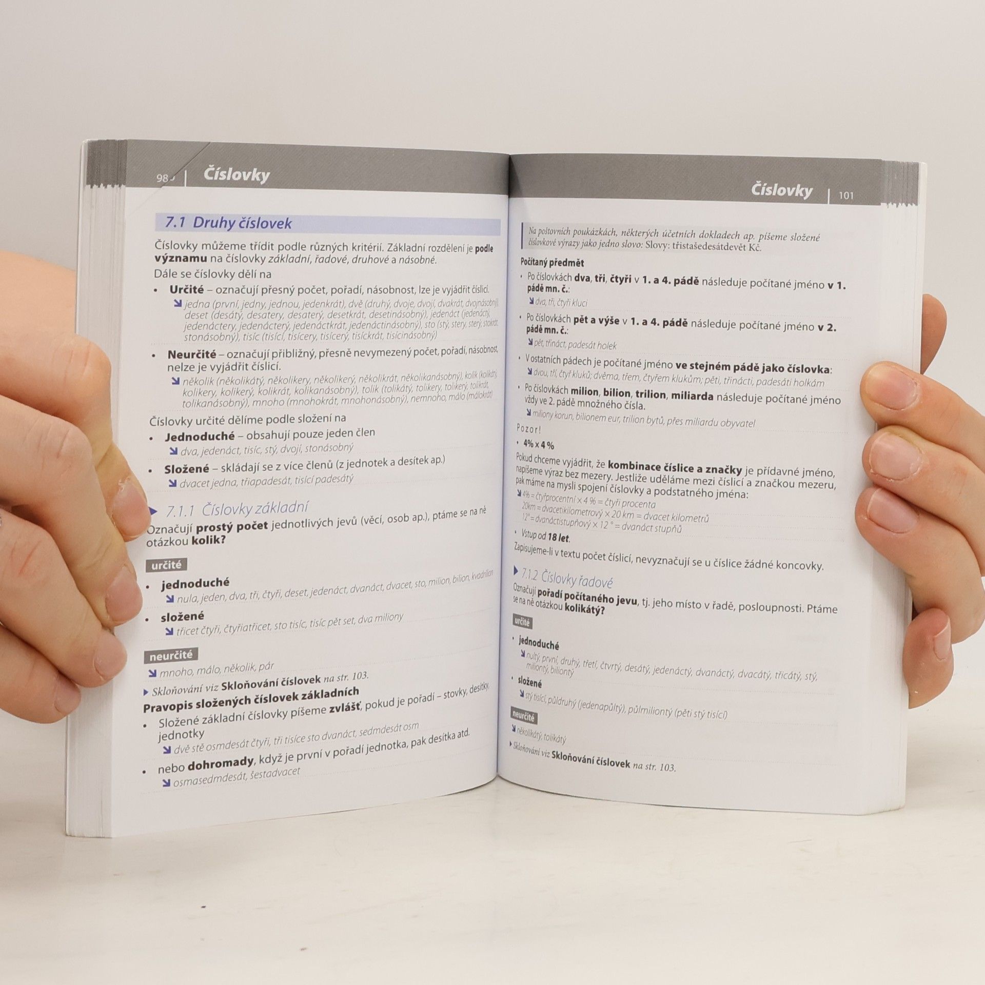 Autorenkollektiv Gramatika současné češtiny